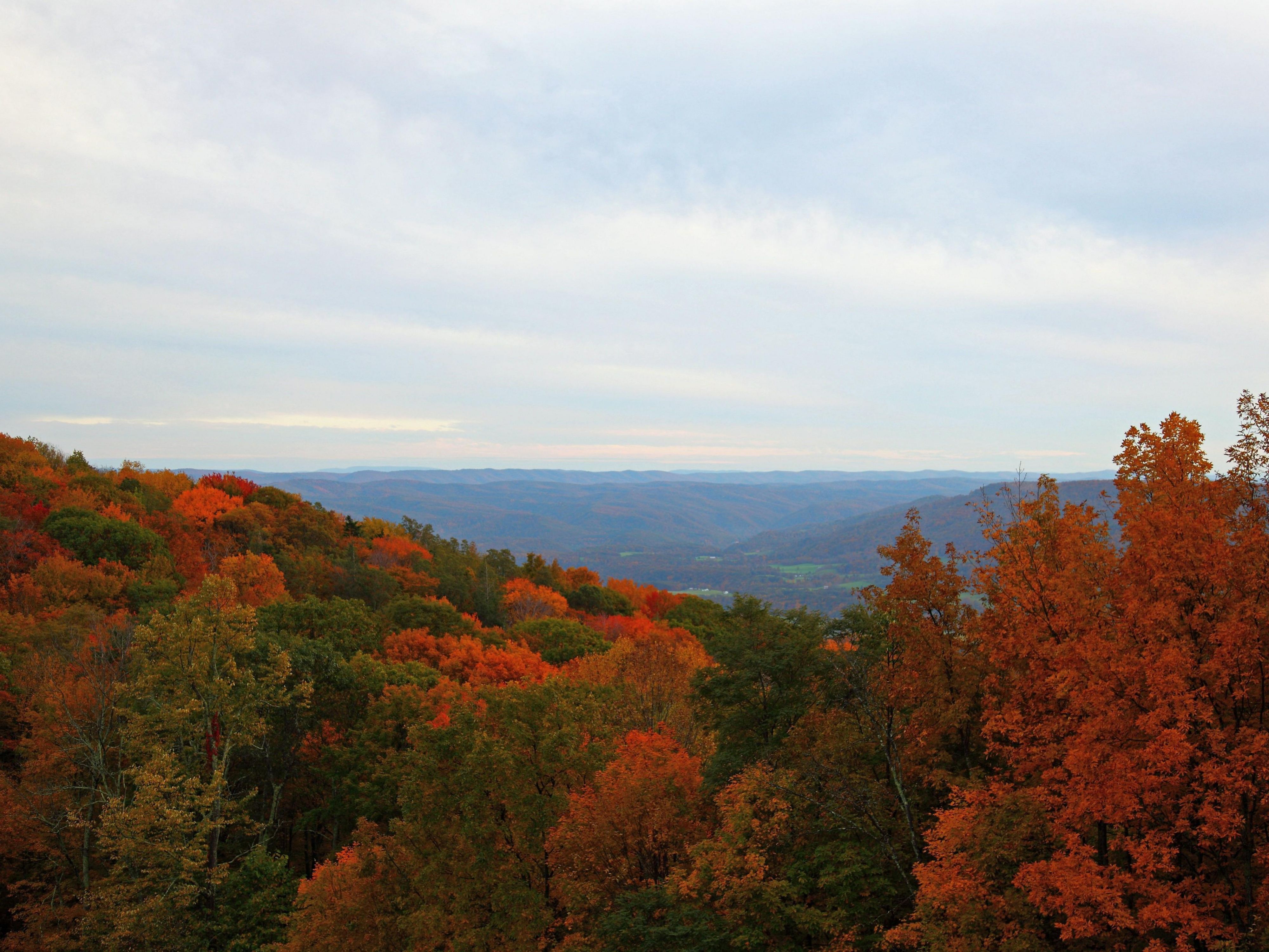 Just a short drive from the hotel, Kanawha State Forest offers a peaceful retreat into nature with its expansive trails, beautiful woodlands, and vibrant wildlife. Perfect for hiking, mountain biking, or simply enjoying a scenic picnic, this forest provides a refreshing escape from the bustle of the city. Whether you're an outdoor enthusiast or ju