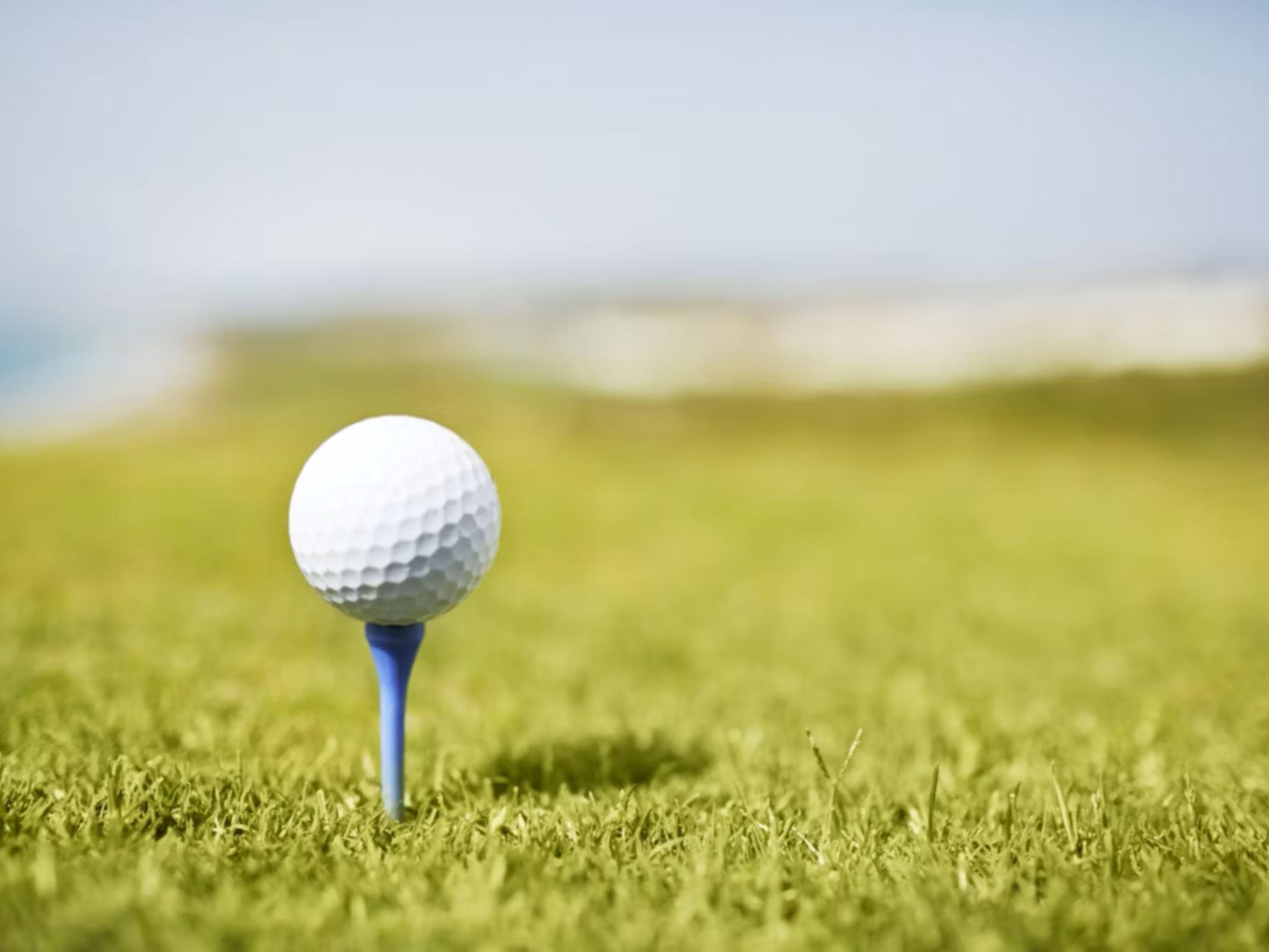 Übernachten Sie nur 10 Meilen vom Aronimink Golf Club entfernt, dem Austragungsort der 2026 PGA-Meisterschaft, im Holiday Inn & Suites Philadelphia W - Drexel Hill. Nachdem Sie die besten Golfer der Welt gegeneinander antreten, entspannen Sie sich in modernen Zimmern, genießen Sie die hoteleigenen Speisen und machen Sie Ihren Aufenthalt zu einem Teil des Meisterschaftserlebnisses.