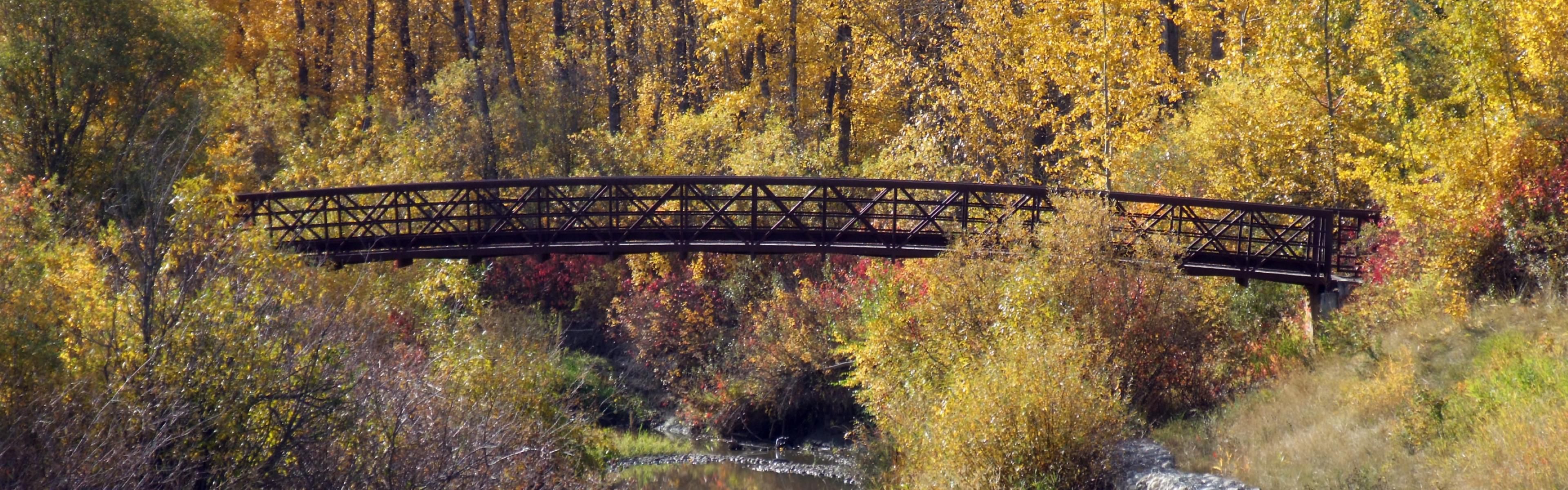 Footbridge at Muskoseepi Park, a peaceful spot in Grande Prairie.