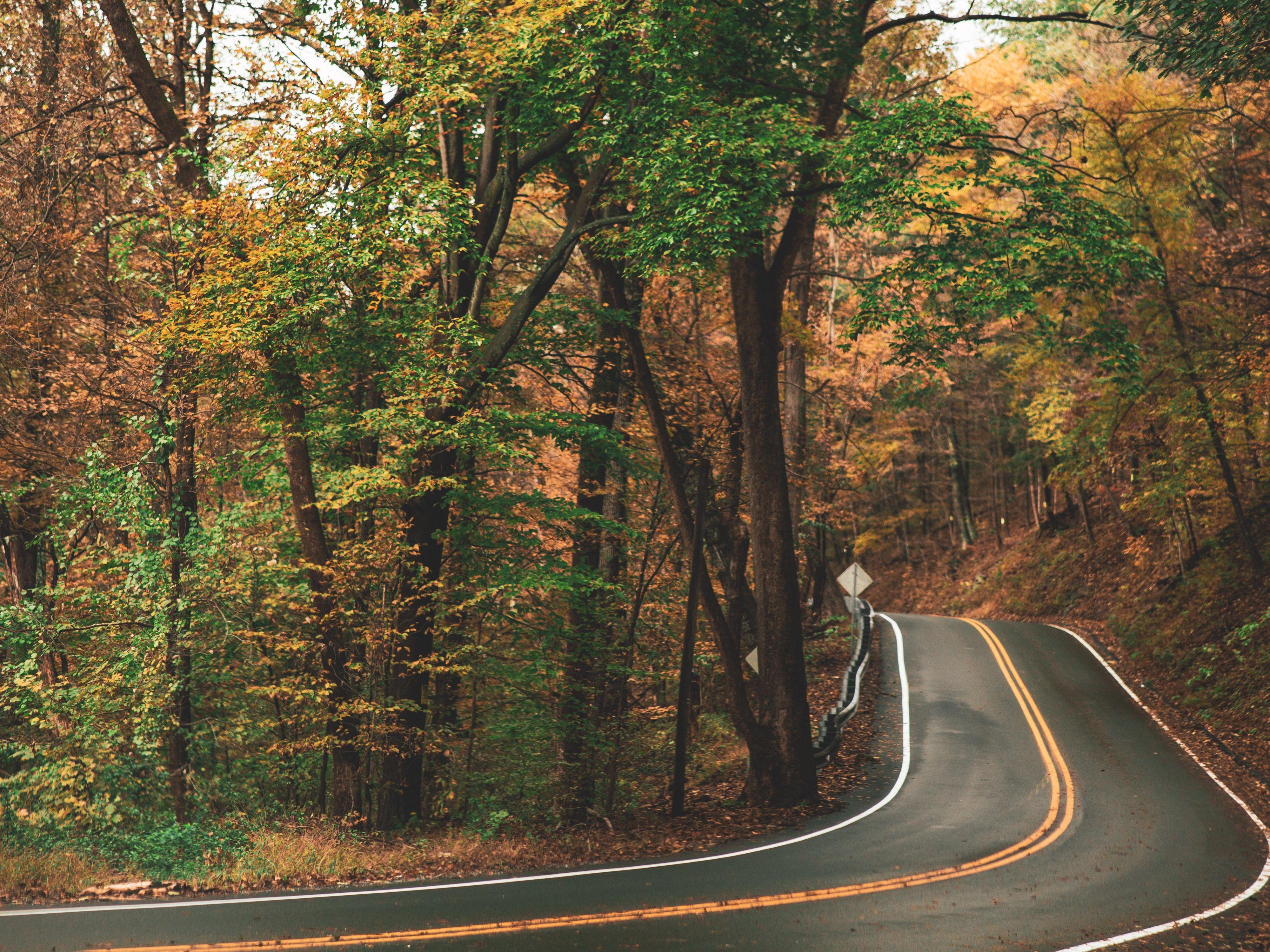 Enjoy our suggestions of Fall Activities - fun for the whole family.
