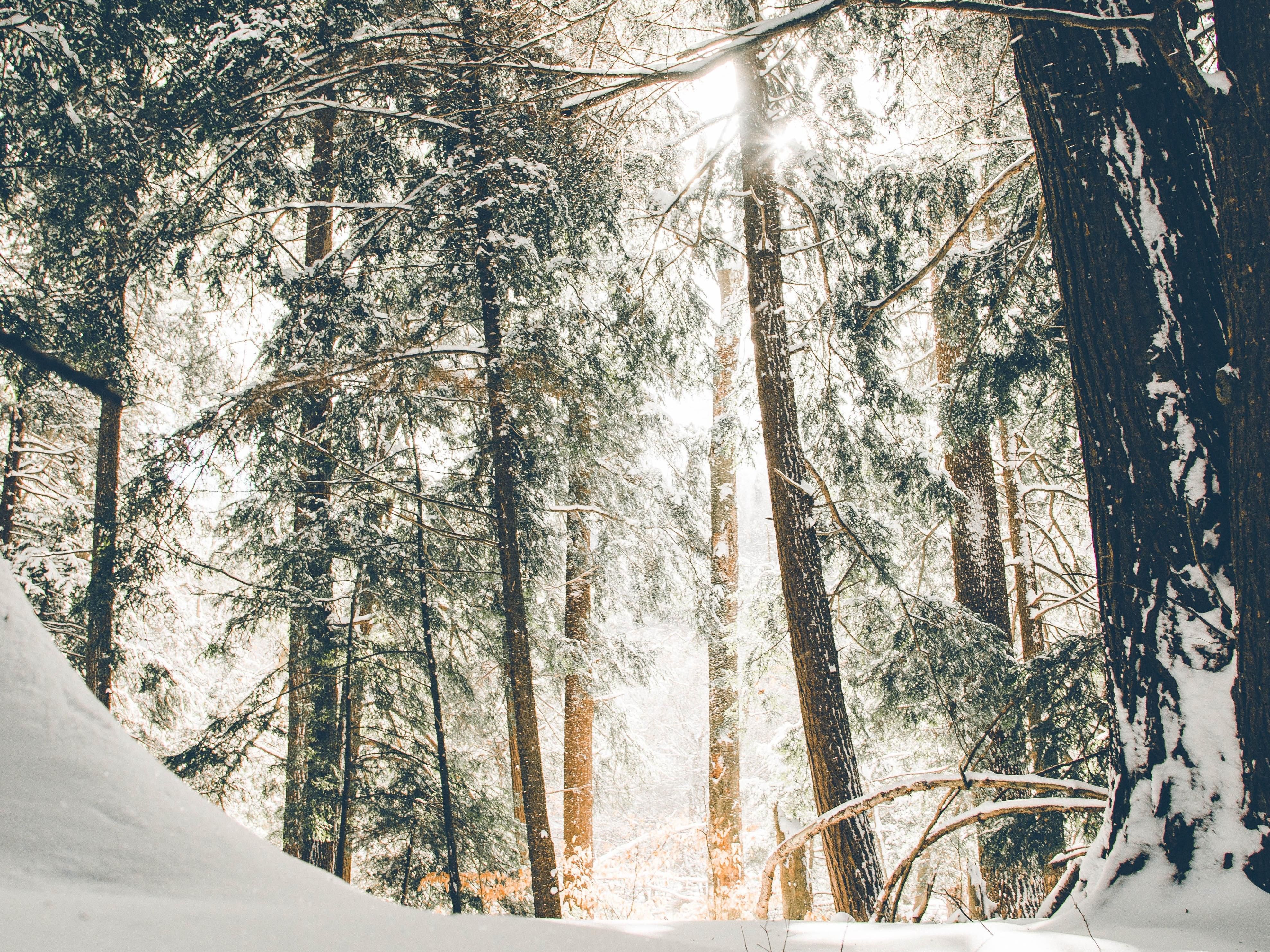 Winter Wonderland Package