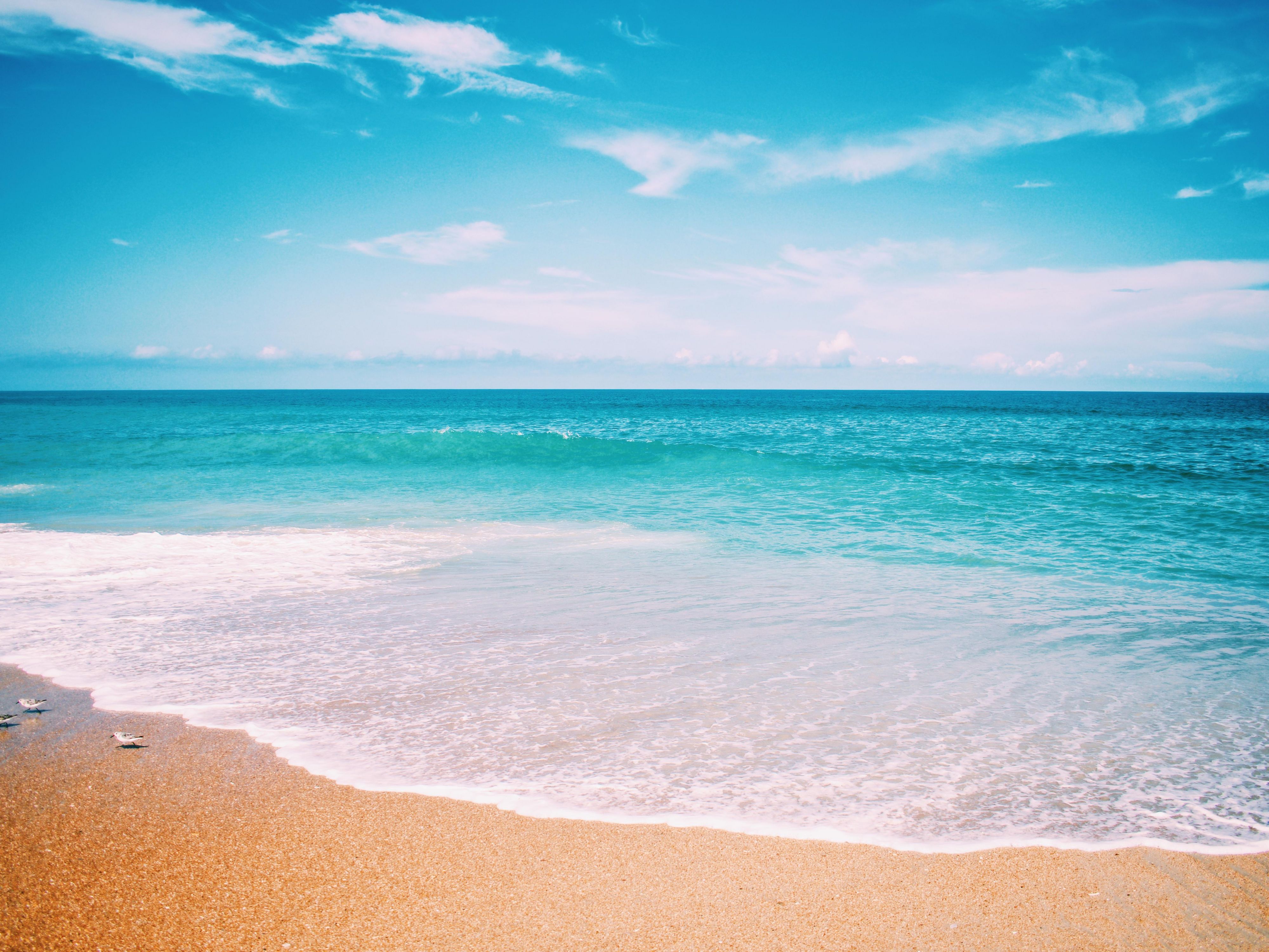 We are the closest hotel to the beach in Puerto Progreso. We have a recognized Beach Club agreement that allows access to enjoy your stay in this area.
