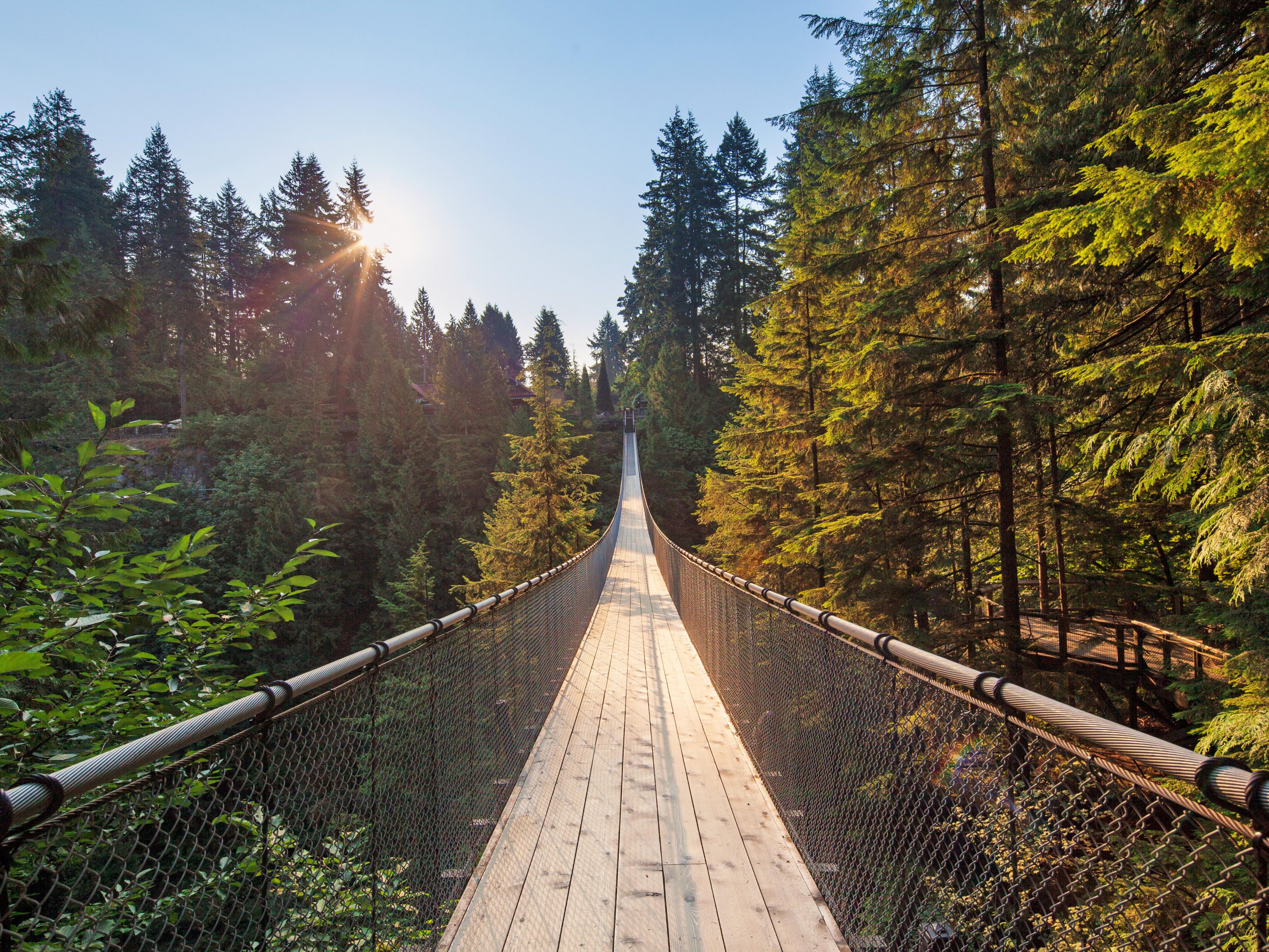 There are endless reasons to visit the North Shore. From hiking & biking the old growth forests, to dining at the serene Deep Cove, you will be delighted whether you are travelling as a family, for a romantic weekend, or coming to enjoy our outdoor activities. Click on our suggested one-day North Shore itinerary to explore more!