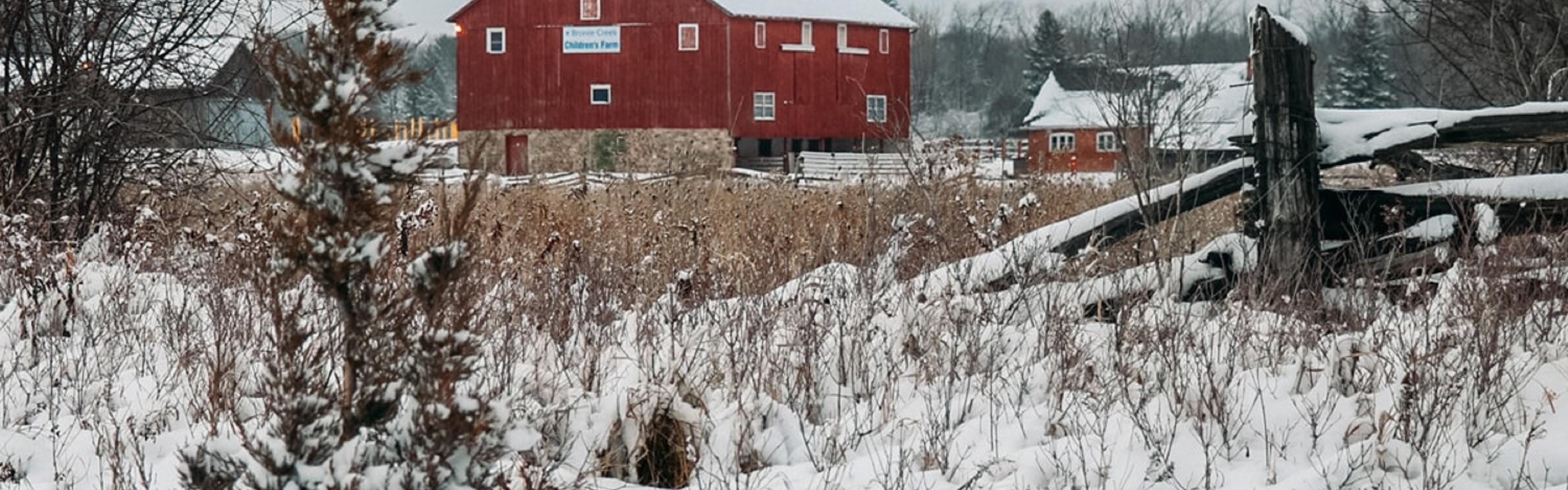 ブロントクリーク州立公園 