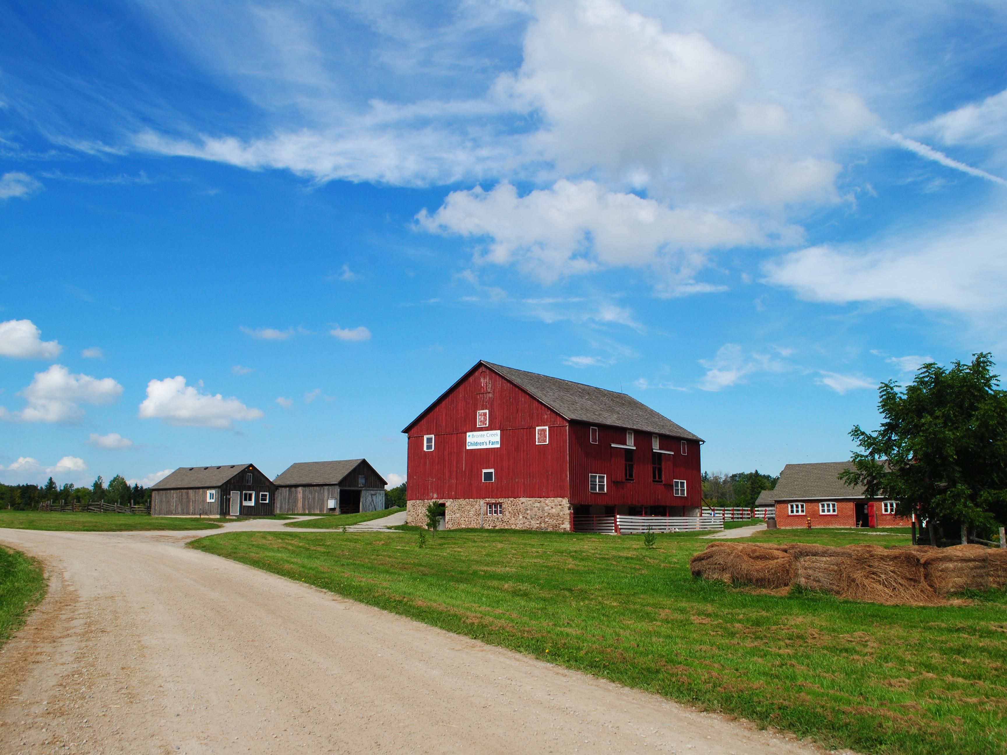 Step back in time and welcome spring the traditional way this Victoria Day Weekend! Join us for Springtime on the Farm, happening from 10 a.m. to 4 p.m. at Spruce Lane Farmhouse and the surrounding grounds.