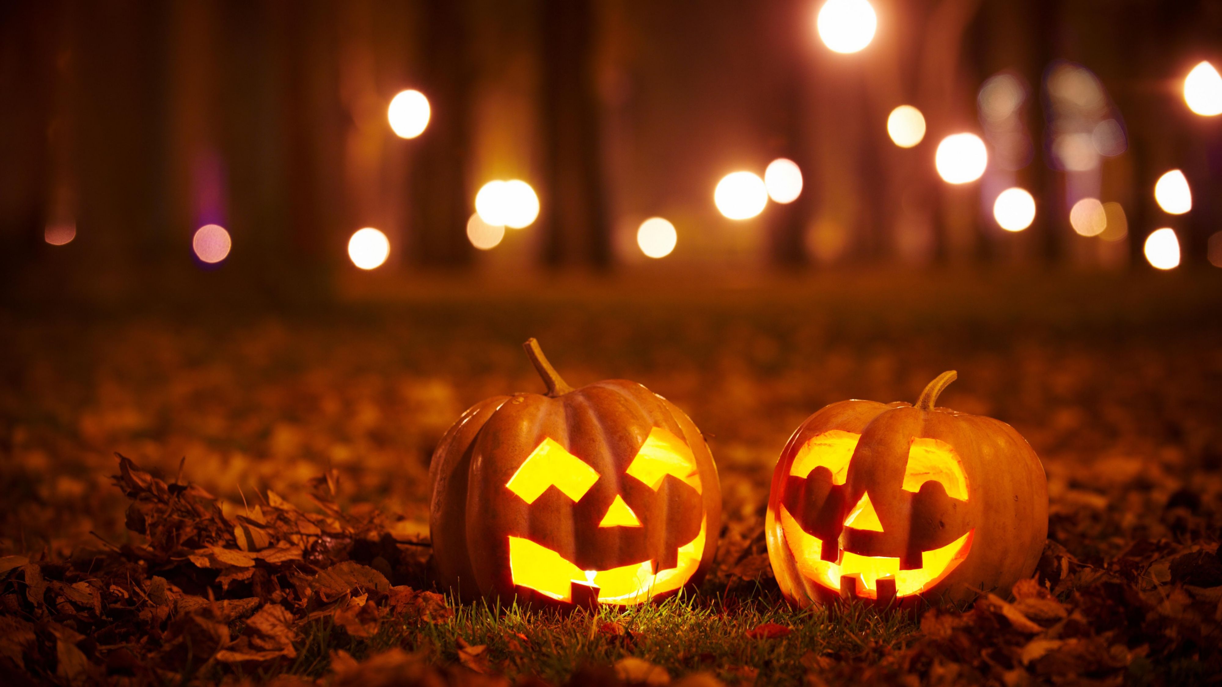 Jack-o-lanterns in the woods