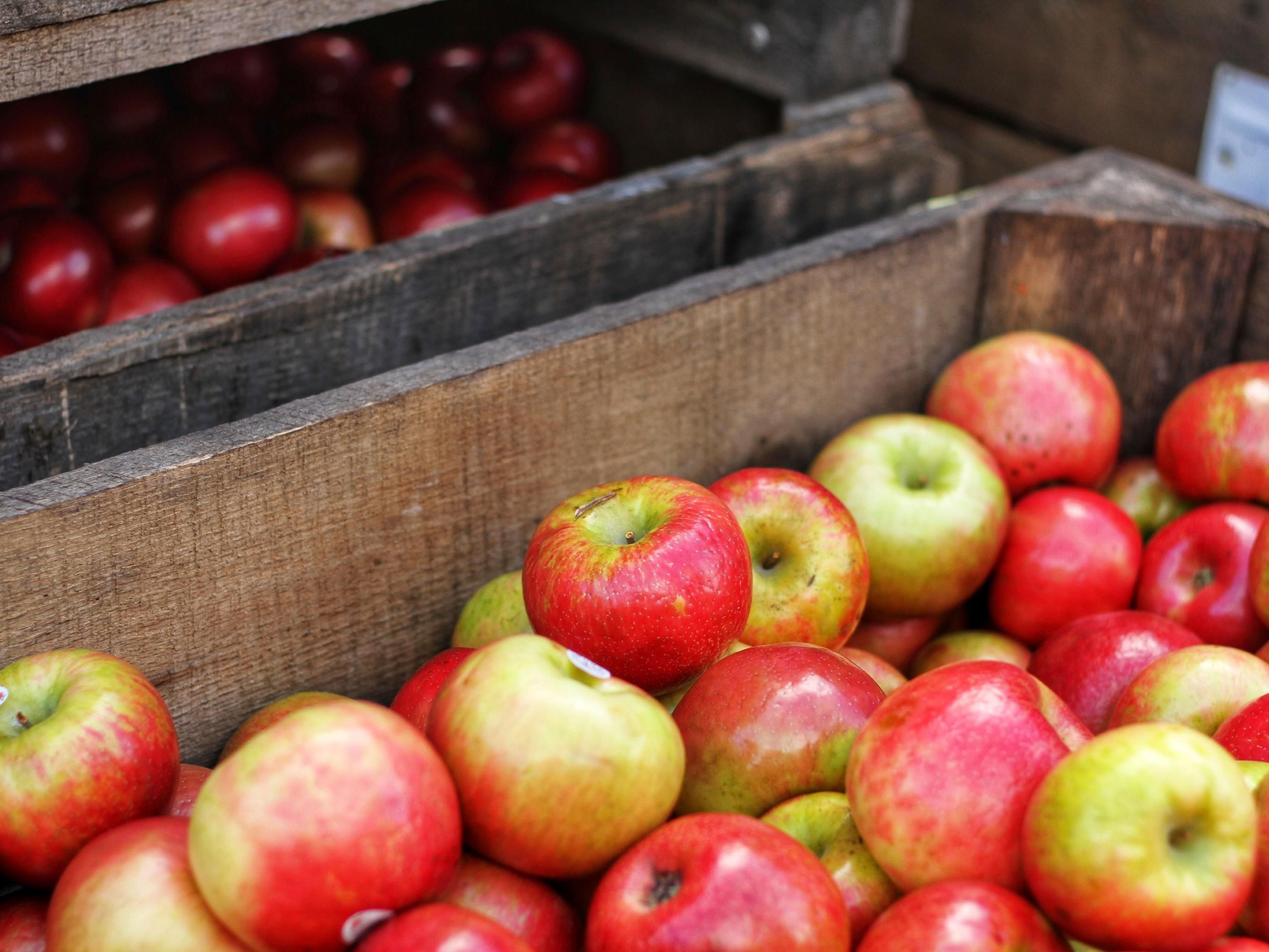 Hilltop Orchard located 15 minutes from the hotel offering 27 different varieties of apples for your picking pleasure.  Let the kids run wild through the orchard and make some memories that will last a lifetime.