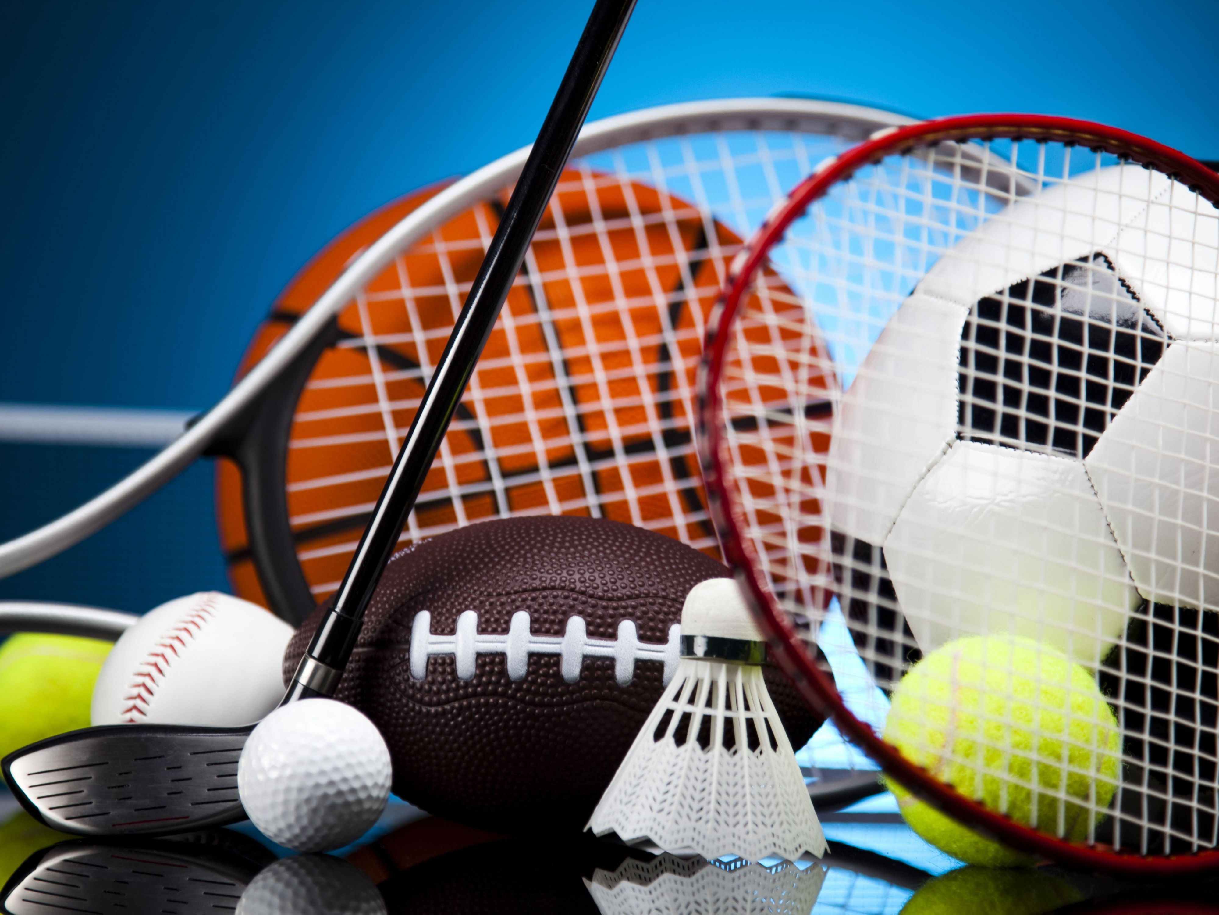 Let's Go Sports Fans!