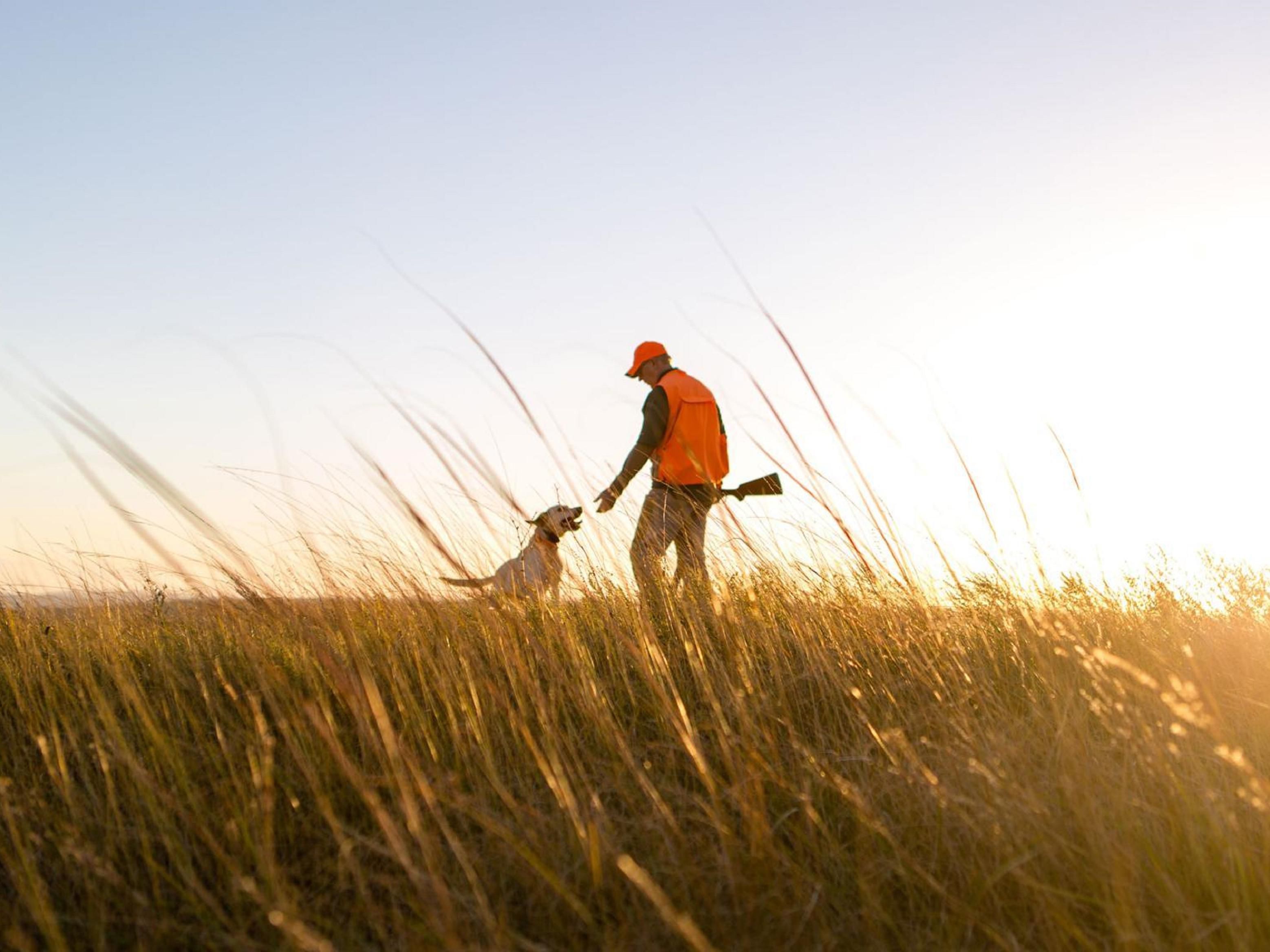 Enjoy Holiday Inn Sioux Falls Airport, just minutes from premier hunting. Unwind with drinks and excellent food at our lively Crooked Pint Ale House, relax in spacious rooms, and enjoy the indoor pool and whirlpool.  Perfect for outdoor enthusiasts seeking comfort, convenience, and a welcoming atmosphere after a day in the field.