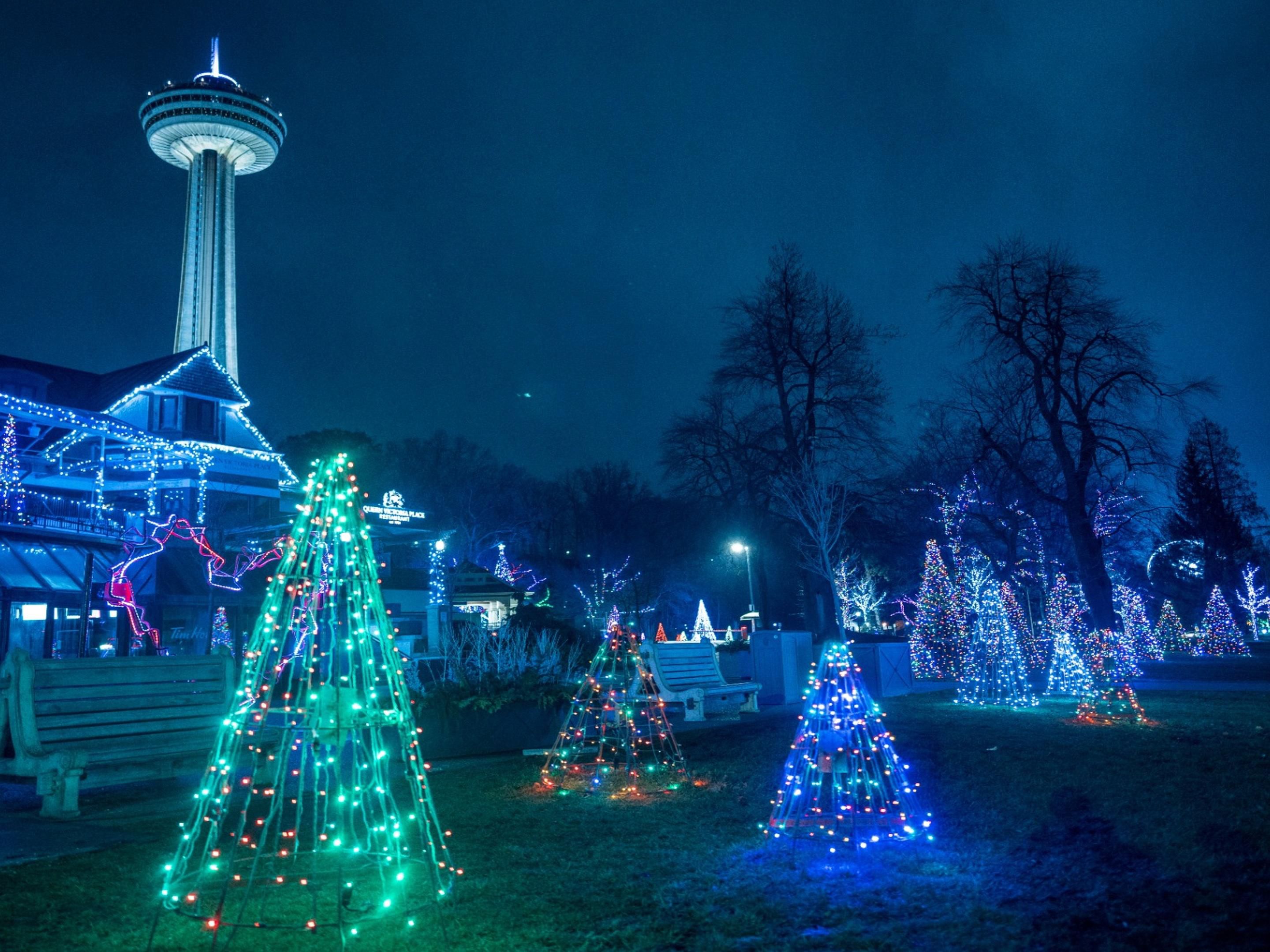 Experience Niagara’s magic this winter! Stroll through millions of twinkling displays at the Winter Festival of Lights in Niagara Falls, then sip world-class vintages at Niagara-on-the-Lake’s Icewine Festival, where charming streets transform into a cozy celebration of Canada’s sweetest wine.