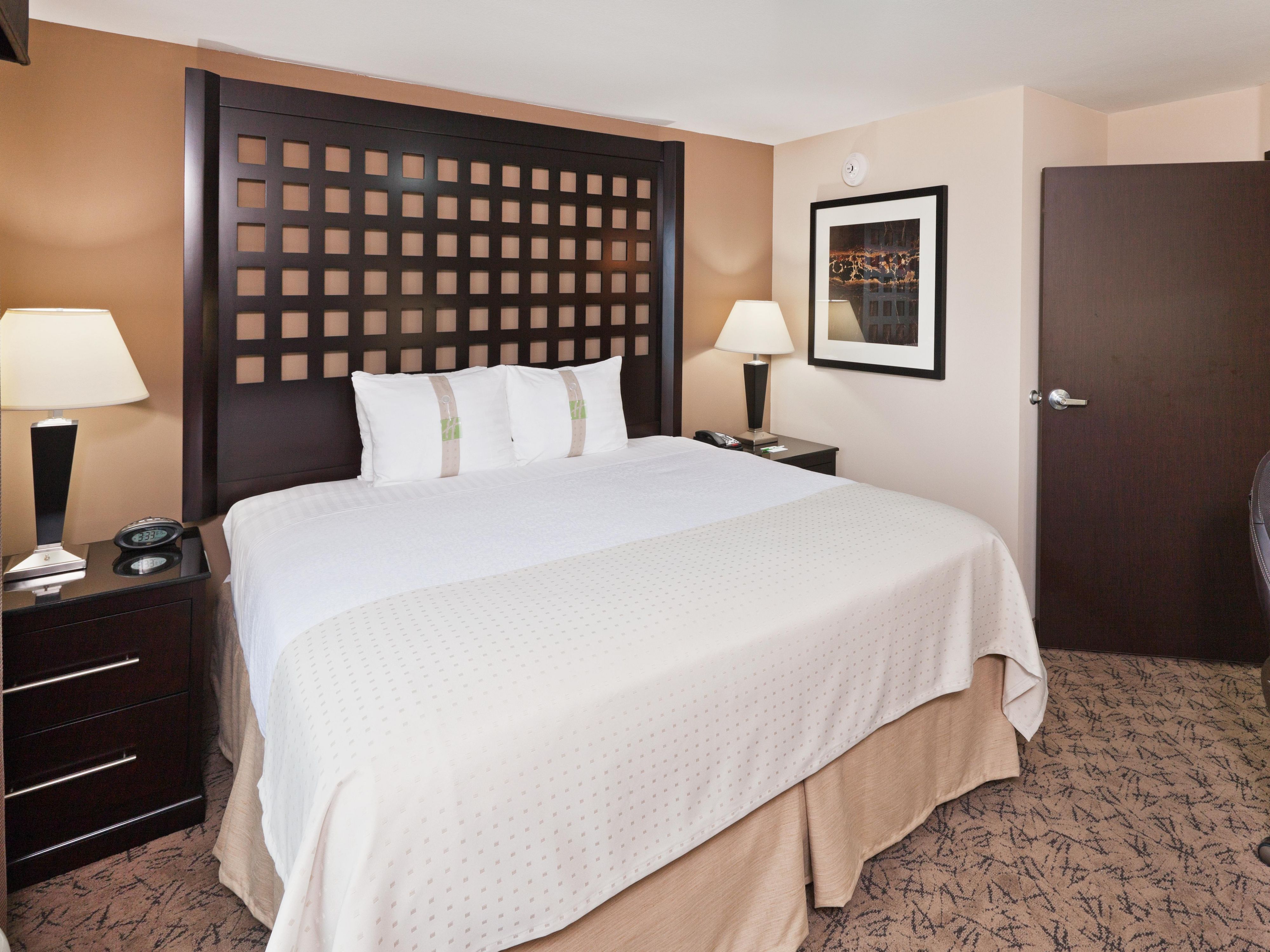 KidFriendly Hotels in Tulsa, OK near Tulsa Zoo Holiday Inn & Suites