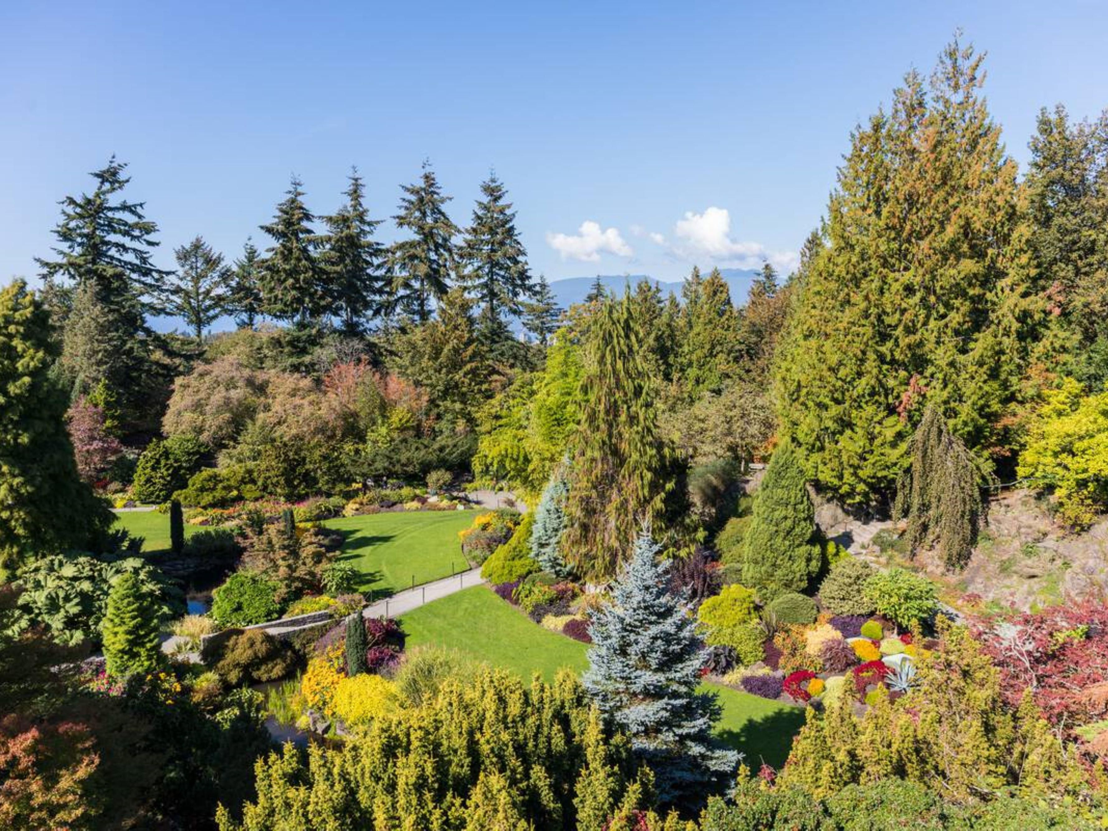 Discover Vancouver's cultural gems, starting with the Vancouver Art Gallery, showcasing stunning exhibitions. Explore the lush Bloedel Conservatory at Queen Elizabeth Park and the beautiful VanDusen Botanical Gardens. Don’t miss the Dr. Sun Yat-Sen Classical Chinese Garden, a registered museum and one of the city's top tourist attractions.