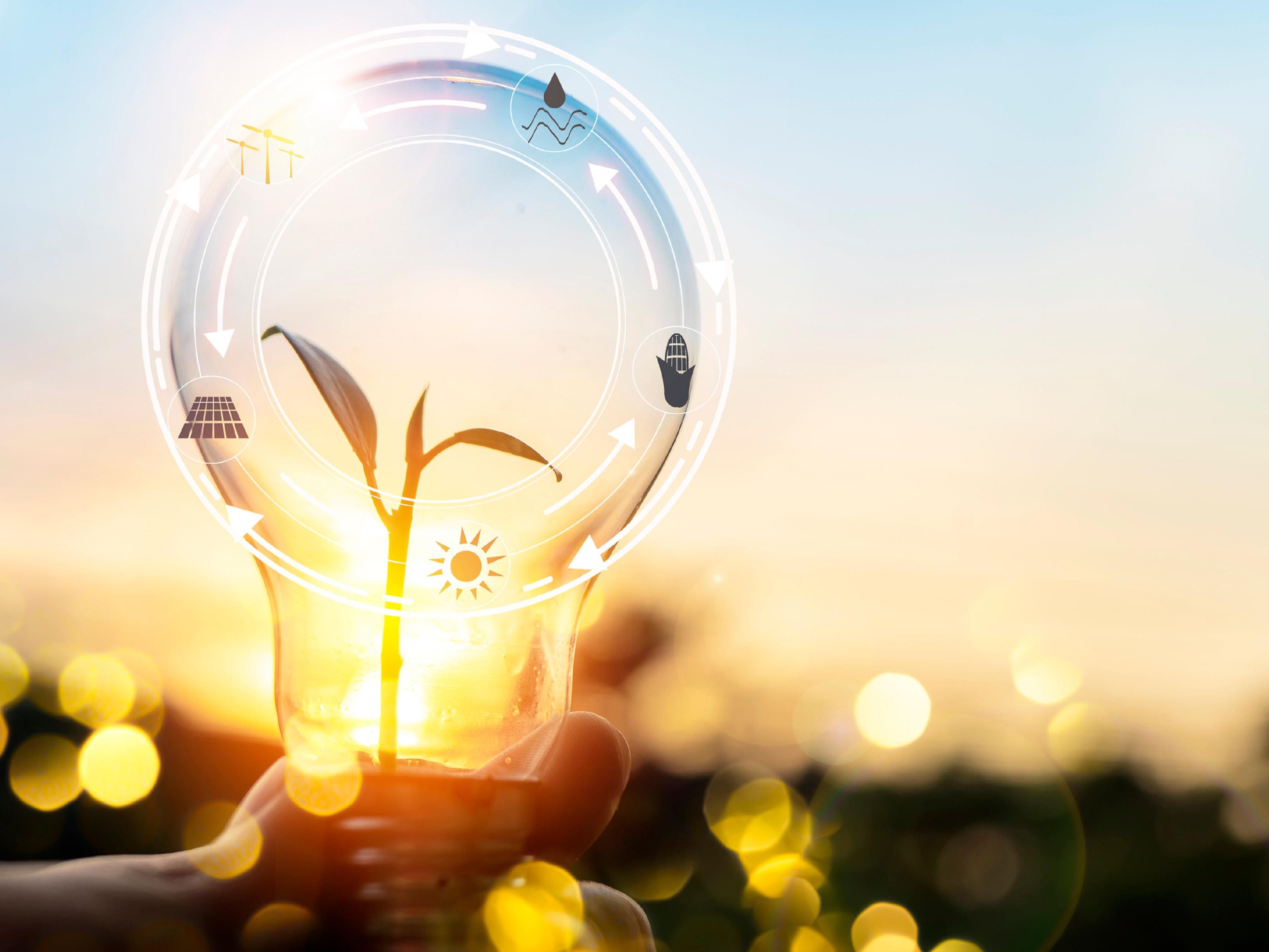 Calling All Energy Associates