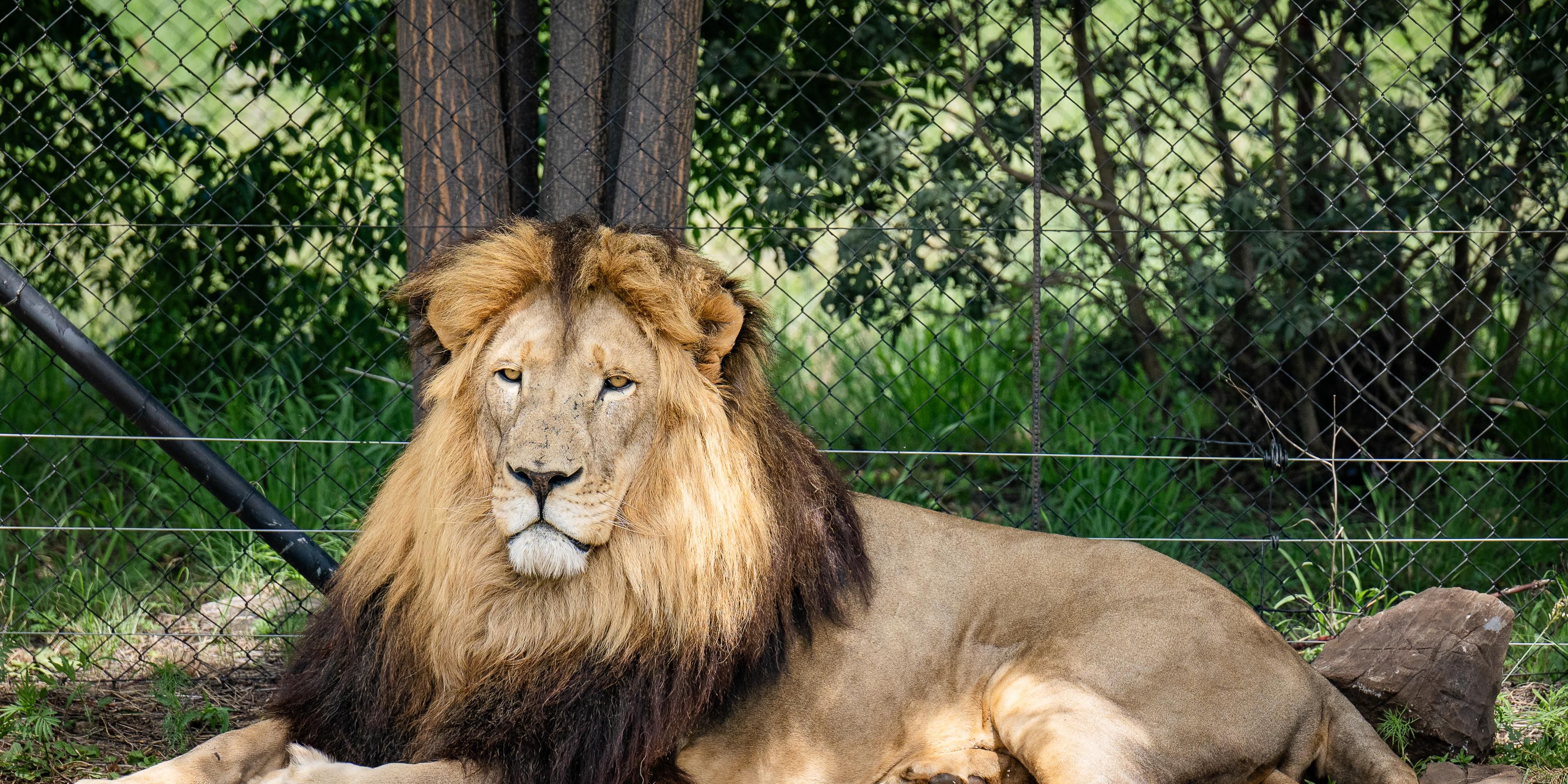 Johannesburg Zoo