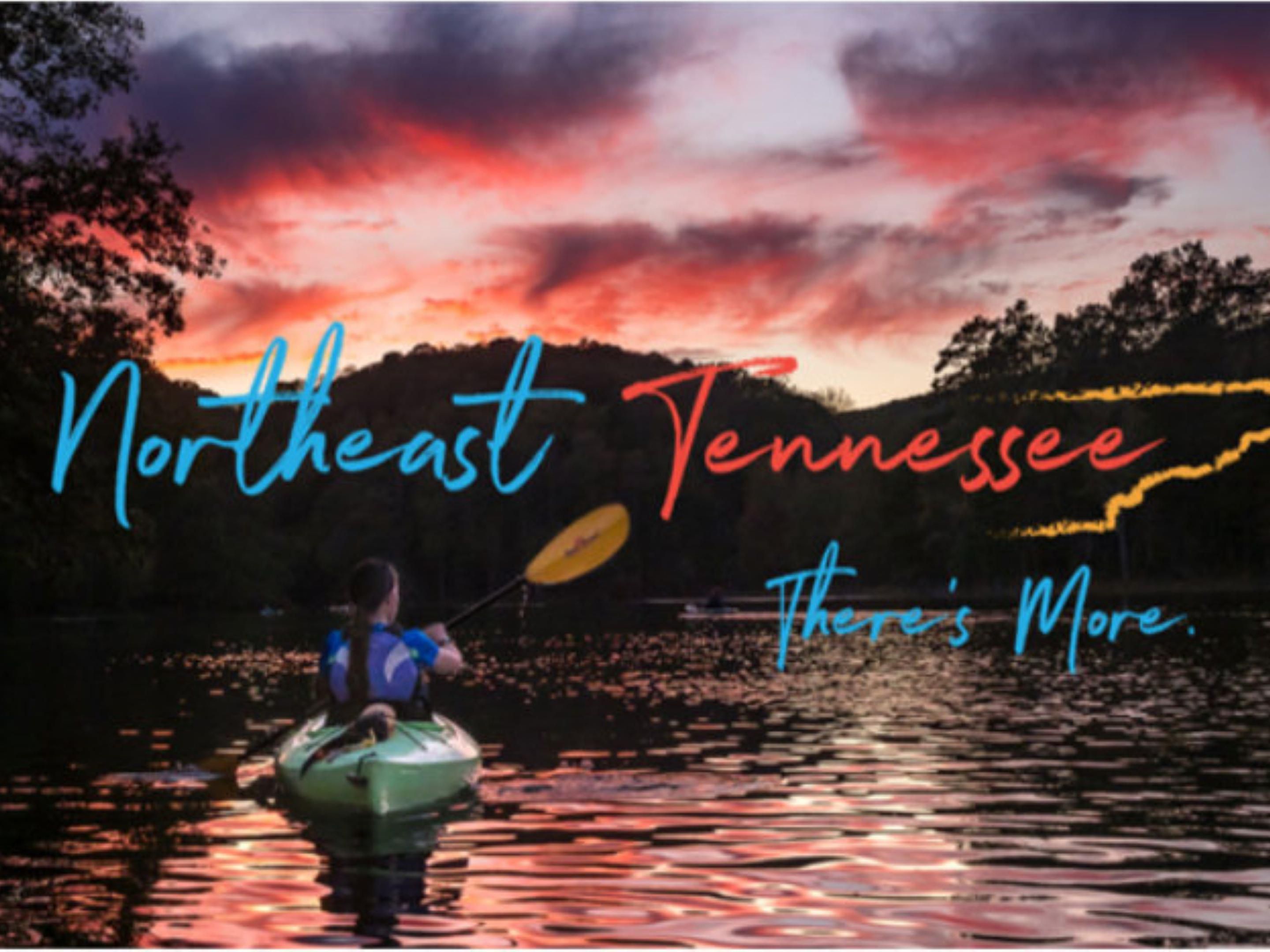 PetFriendly Hotels in Johnson City, Tennessee Holiday Inn Johnson City