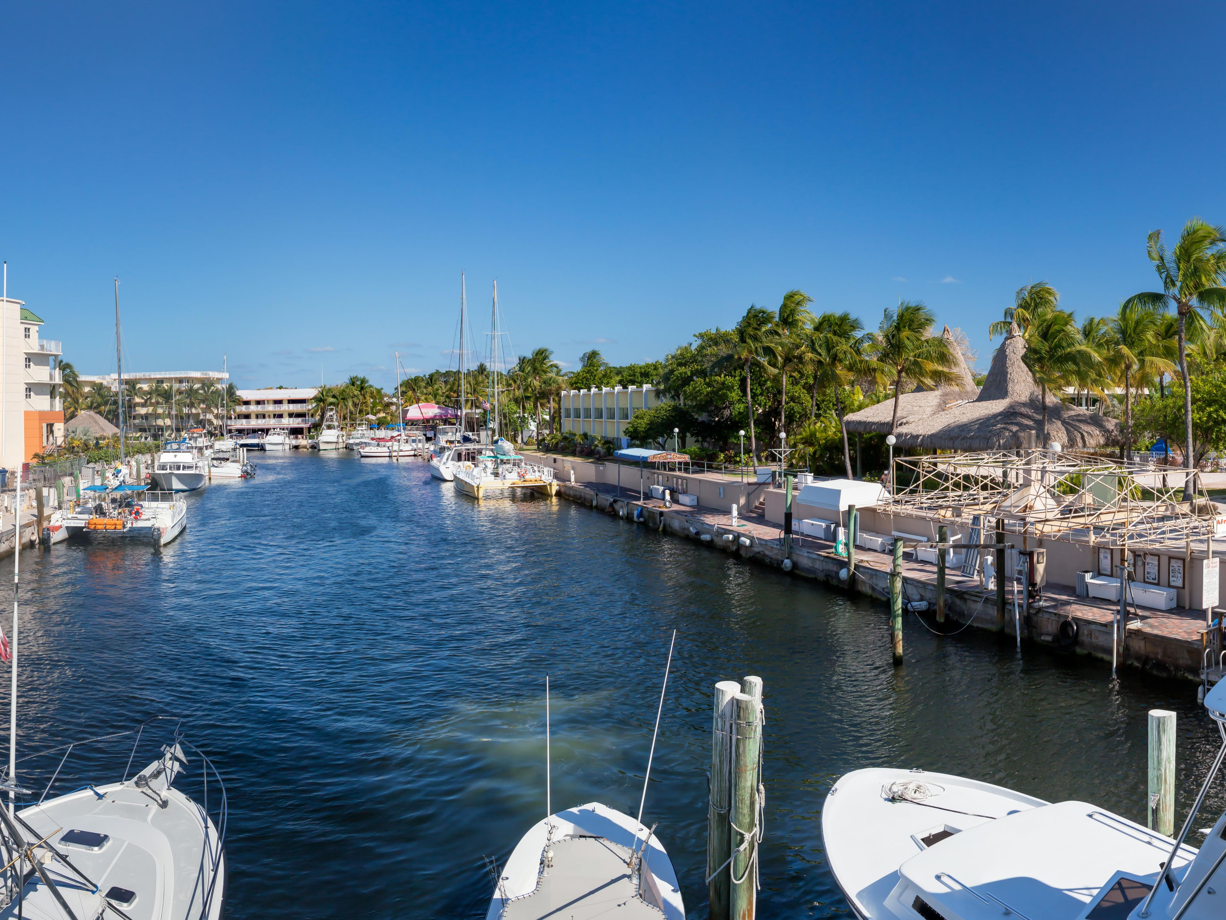Located on Key Largo Marina which hosts several snorkel and dive boats, and the Key Largo Princess glass bottom boat. Also home to the African Queen boat from the famed 1951 movie!