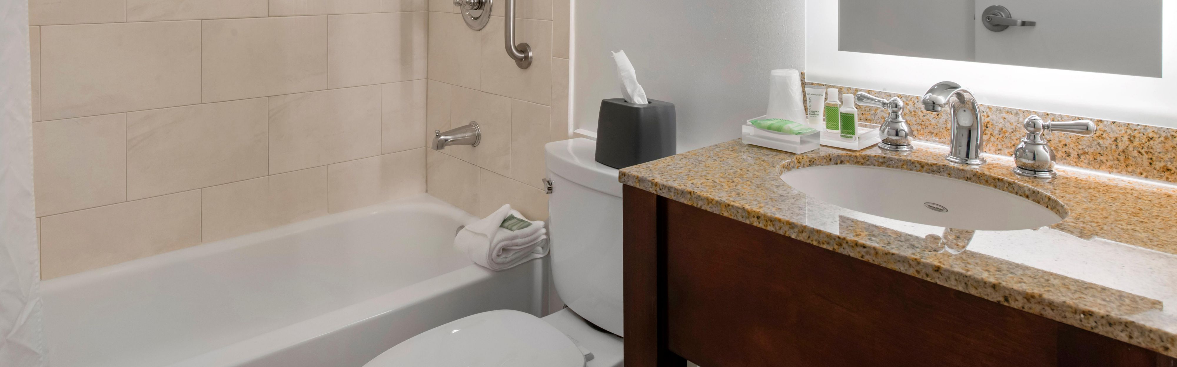 Holiday Inn Lake Buena Vista ホテル Holiday Inn Orlando Disney Springs Area ホテル客室料金