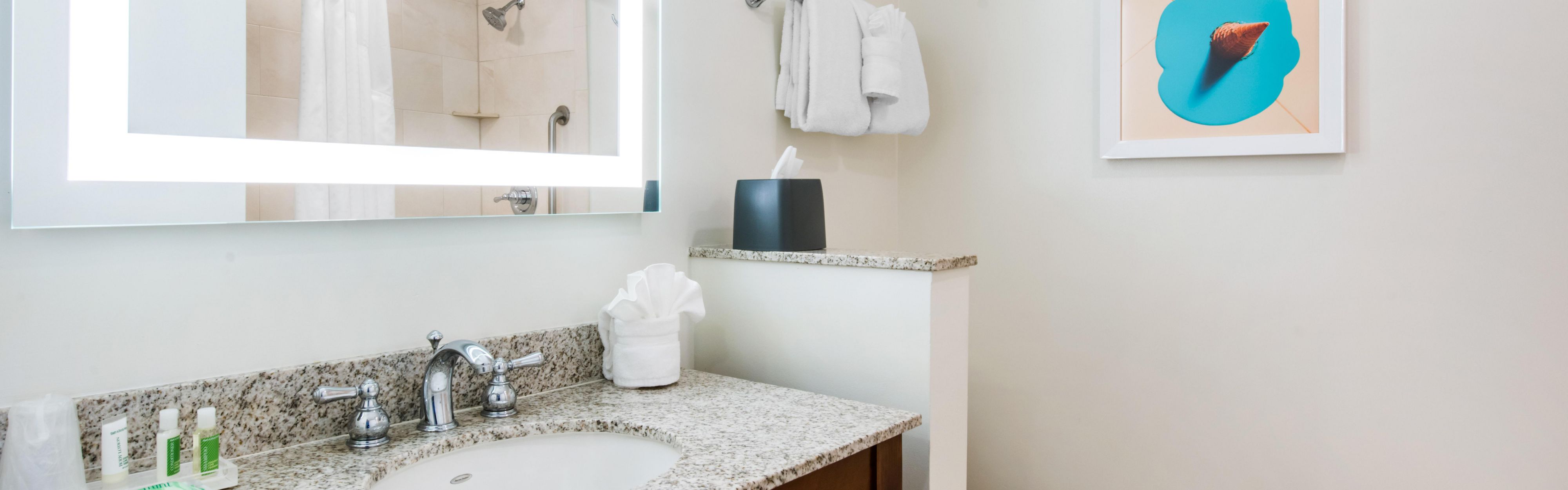 Holiday Inn Lake Buena Vista ホテル Holiday Inn Orlando Disney Springs Area ホテル客室料金
