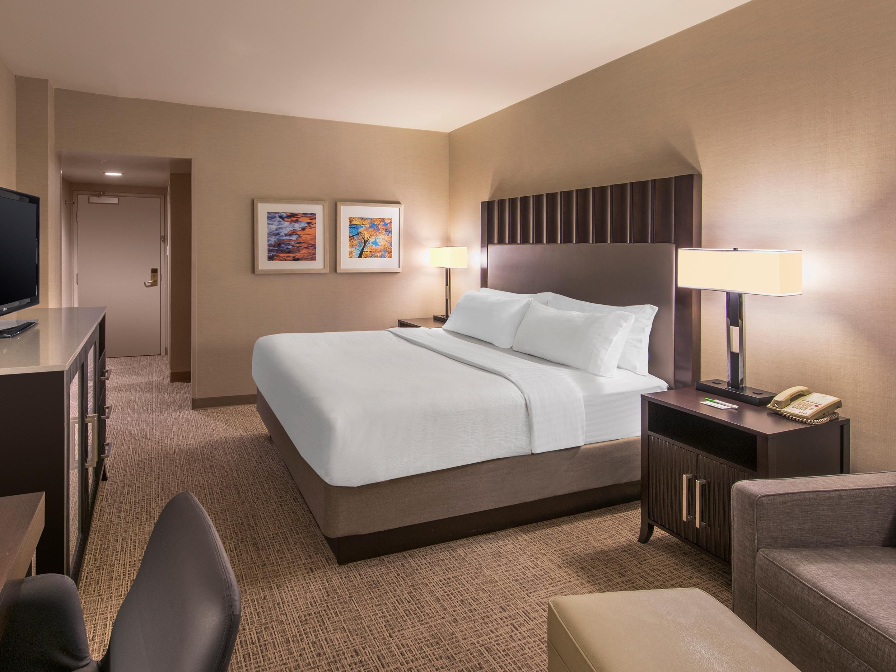 Camere d'hotel Holiday Inn