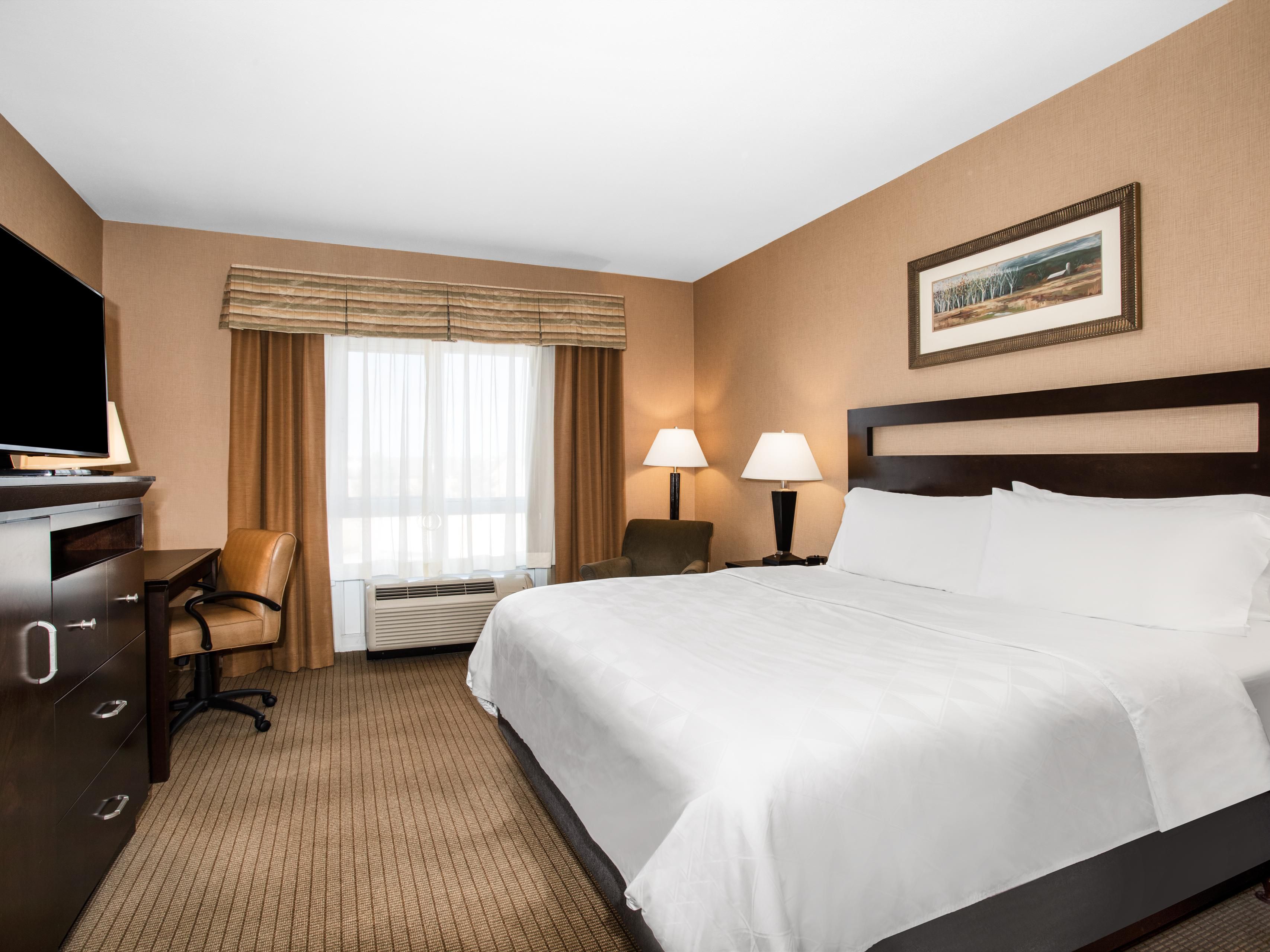 Single Bed Guest Room