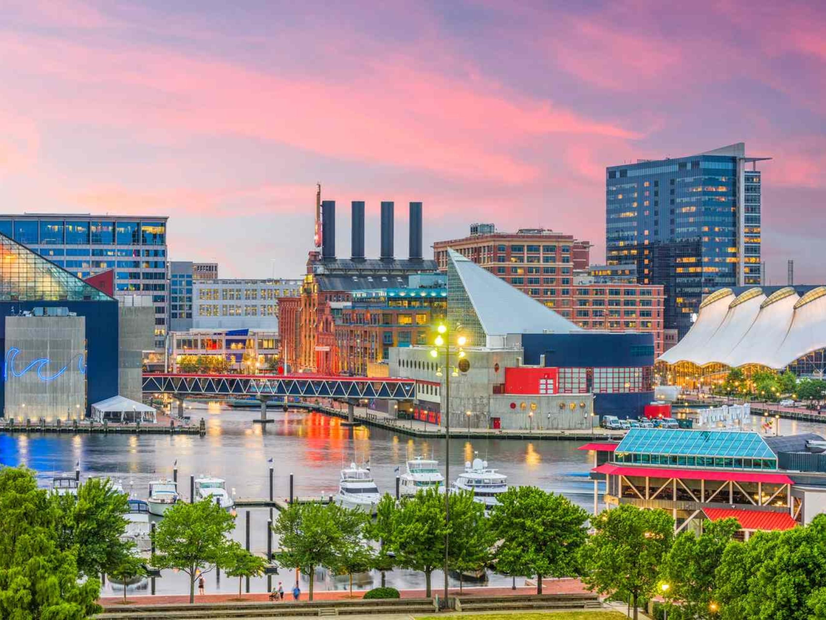 Pet-Friendly Baltimore Hotels near BWI Airport | Holiday Inn Baltimore ...