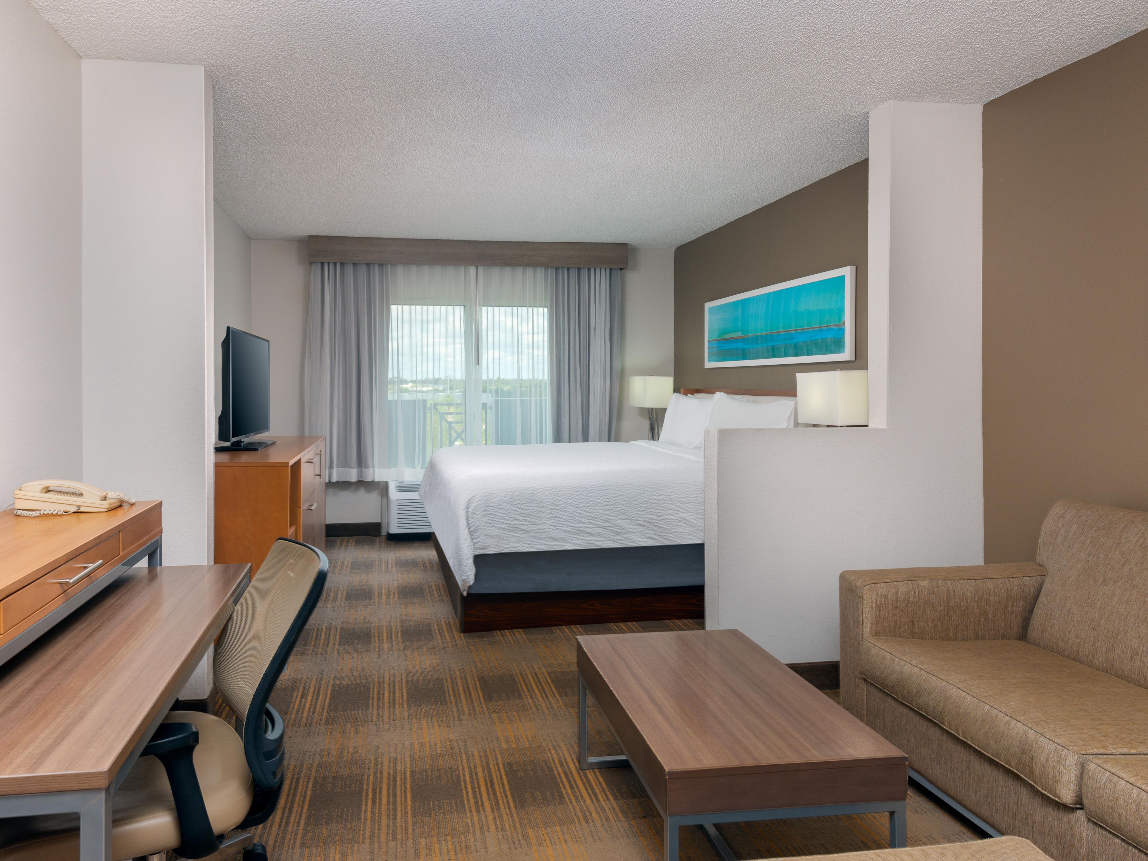 1 King Bed Junior Suite/Living Area
