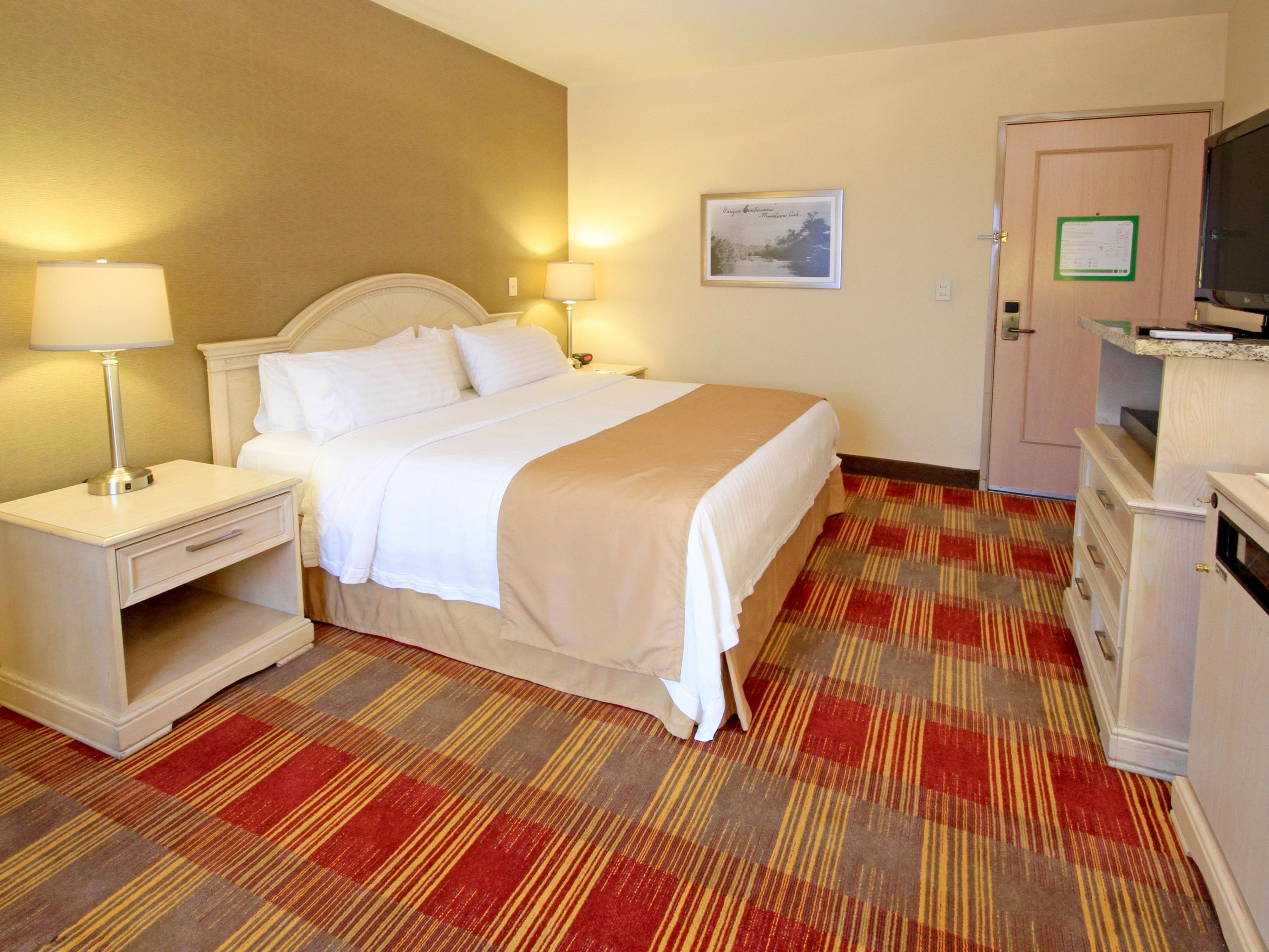 King Bed Non Smoking Room