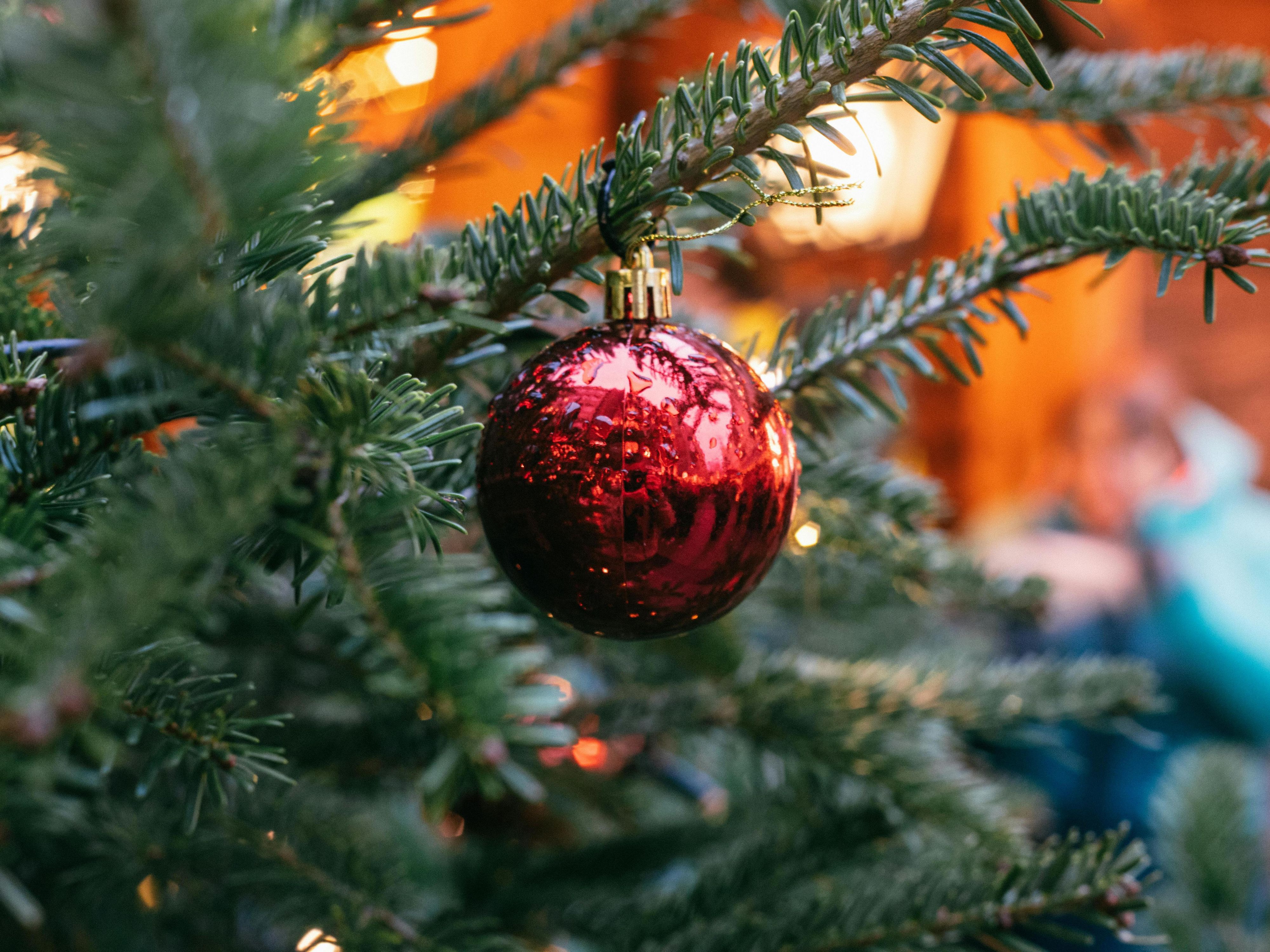 From 25 Nov to 23 Dec, discover Munich’s alternative Christmas market at Theresienwiese — filled with organic food, fair-trade crafts, street theatre and international art. Most events are free! Just 30 minutes away by public transport, the festival returns on 31 December for an epic New Year’s Eve party ending in a Viennese waltz at midnight.