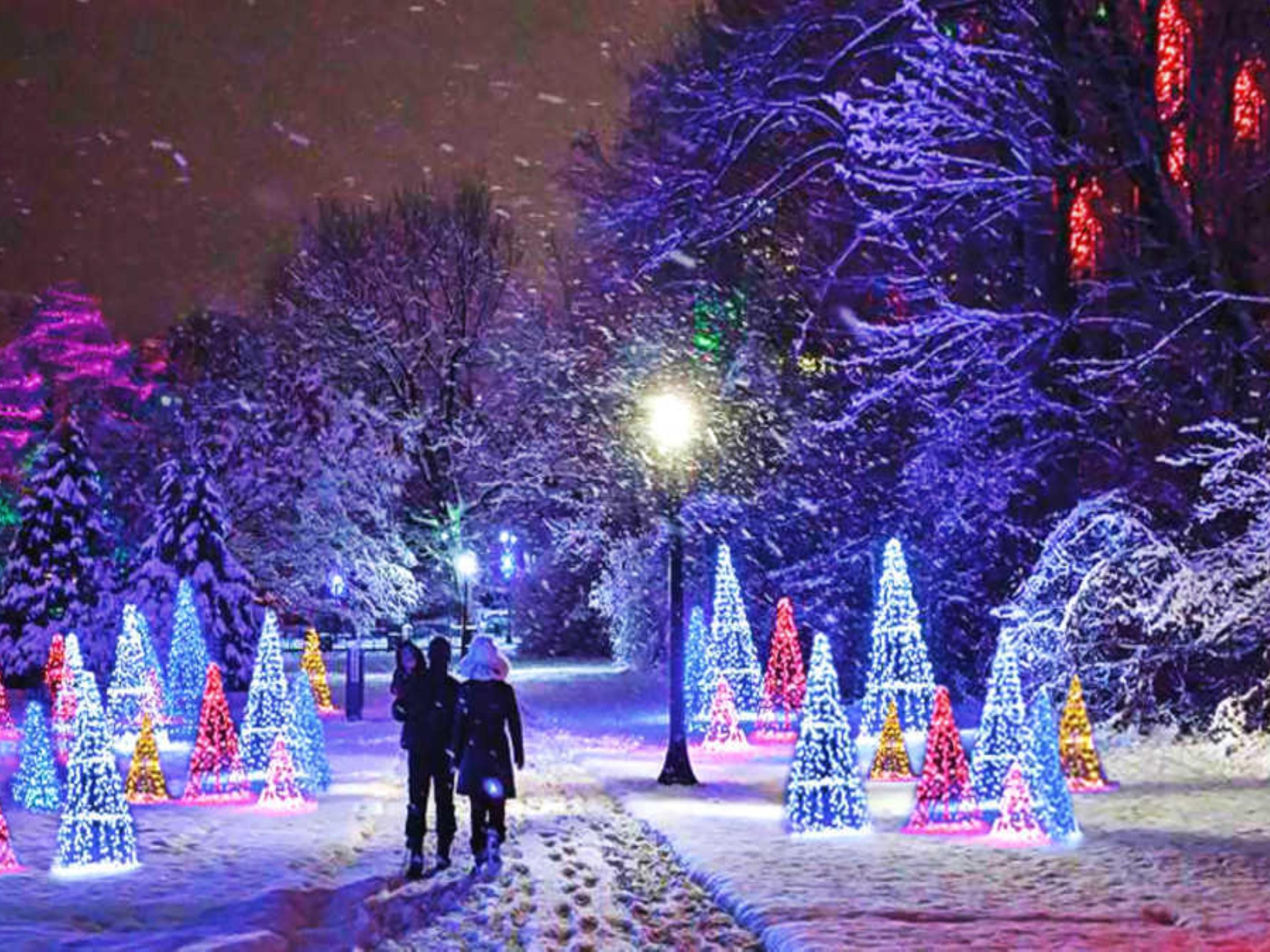 Niagara Falls Christmas Lights 2022 Niagara Falls, Canada Hotels With Falls View | Holiday Inn Niagara Falls -  By The Falls