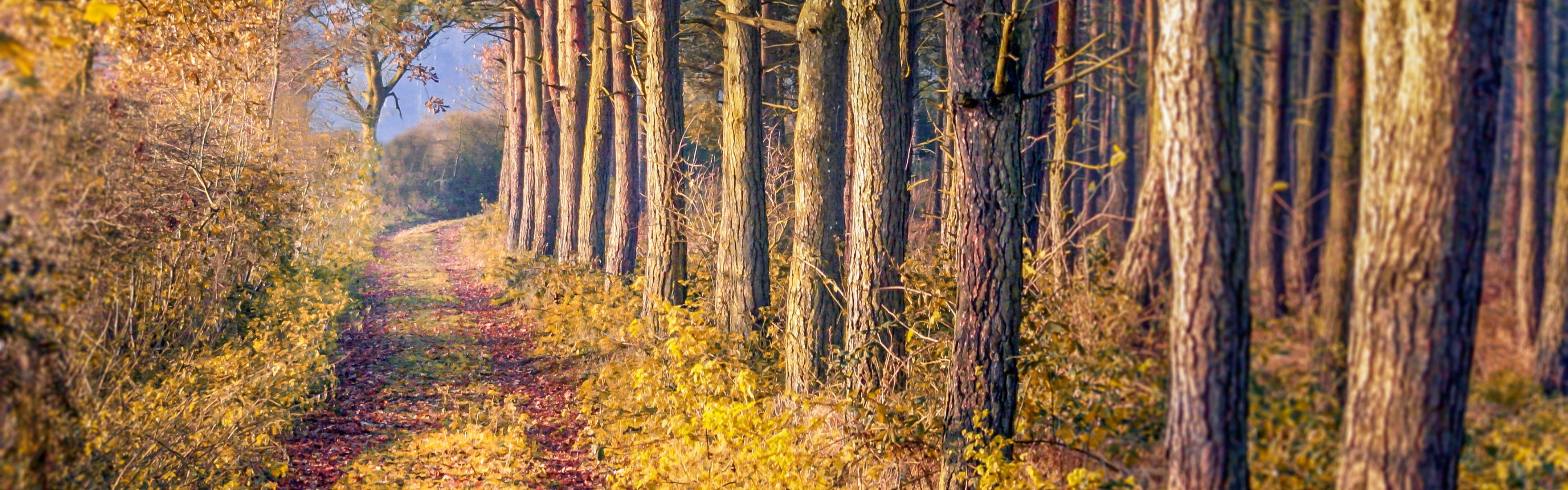 Area attraction photo