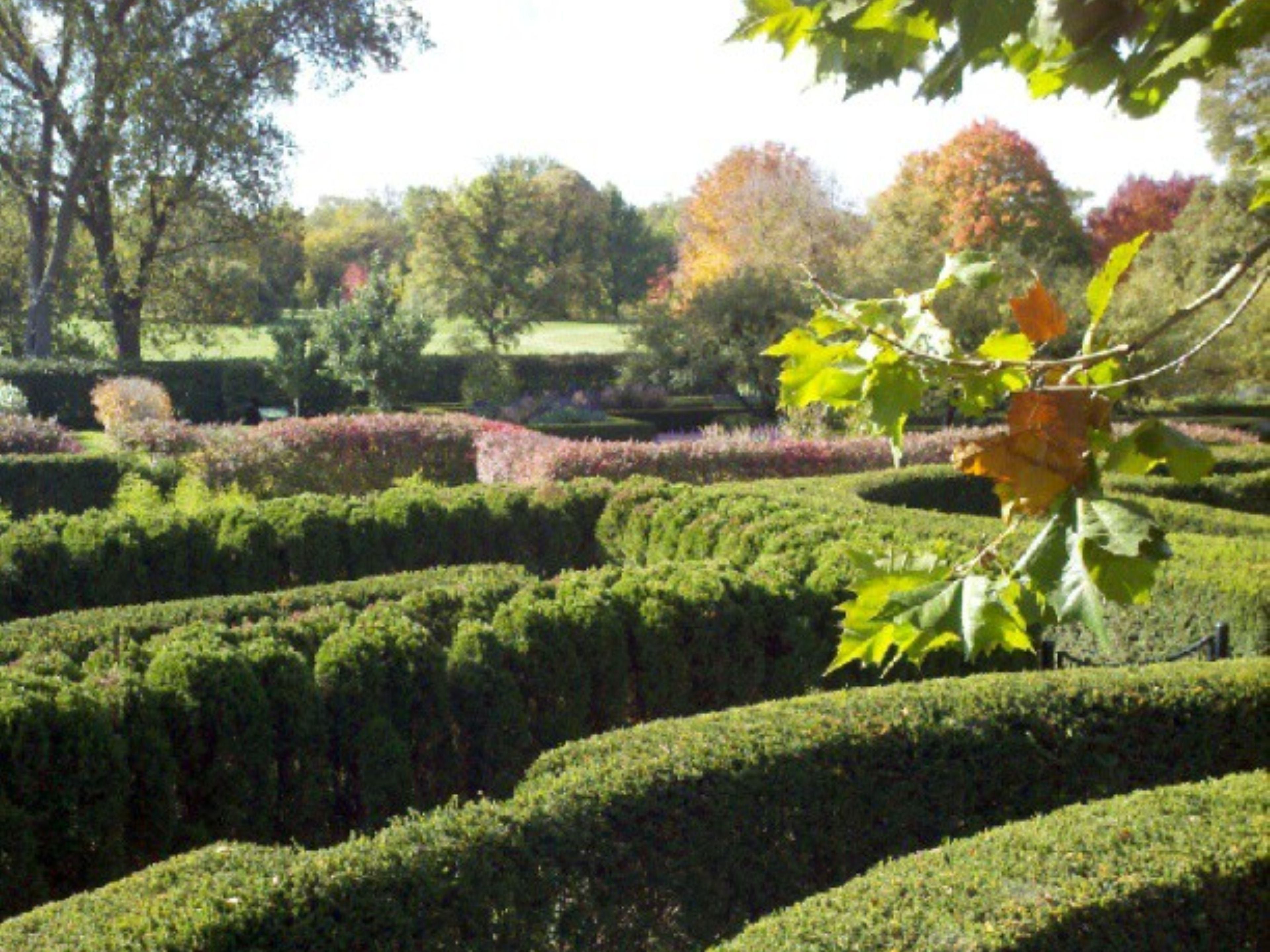 Morton Arboretum