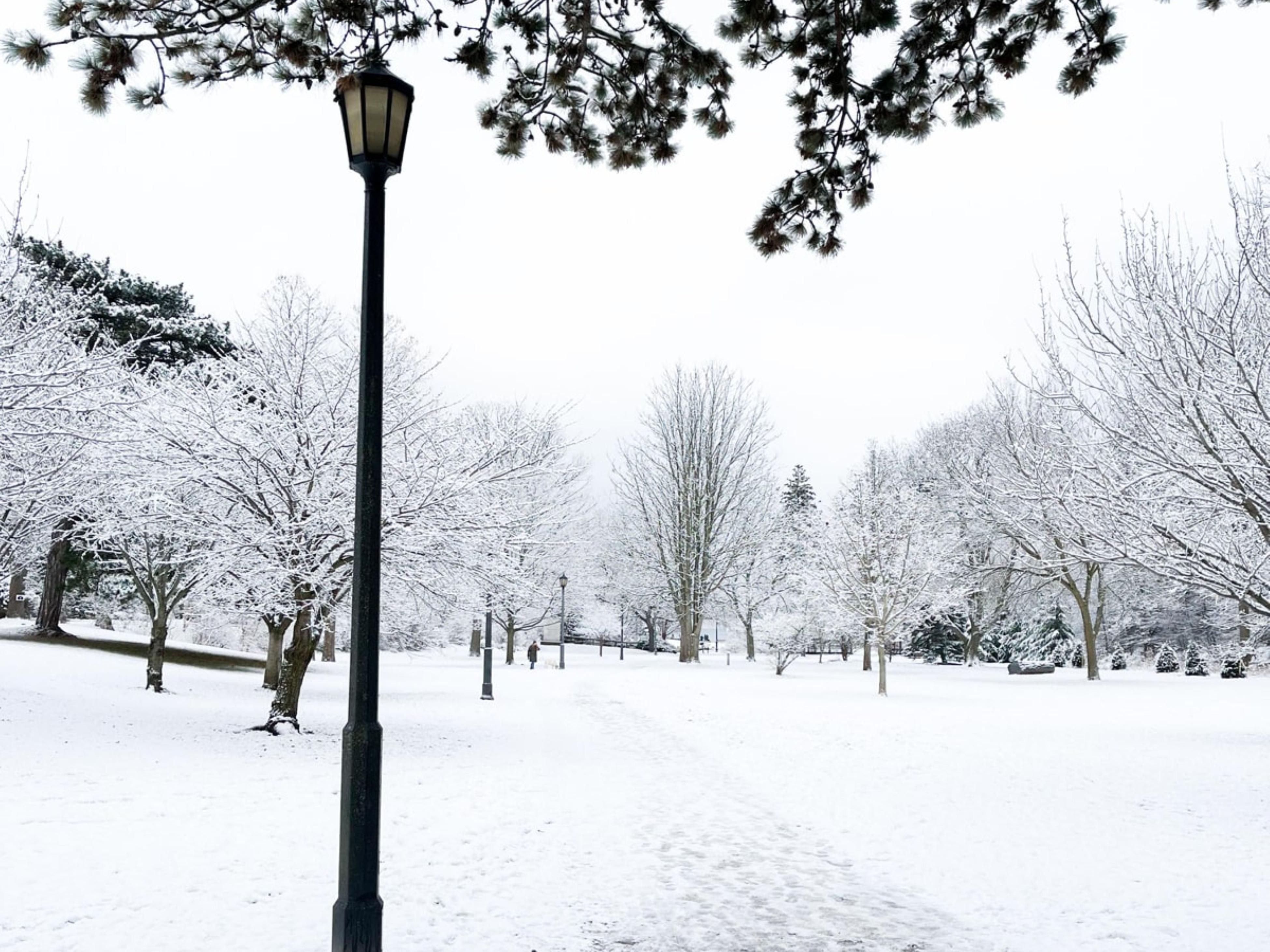 Choose Holiday Inn Oakville Centre for a local getaway, and enjoy easy access to downtown Oakville's boutique shops, scenic waterfront trails, and the Oakville Centre for Performing Arts. Explore Bronte Creek Provincial Park, nearby golf courses, and seasonal festivals — all just a short drive from Toronto and Niagara Falls!