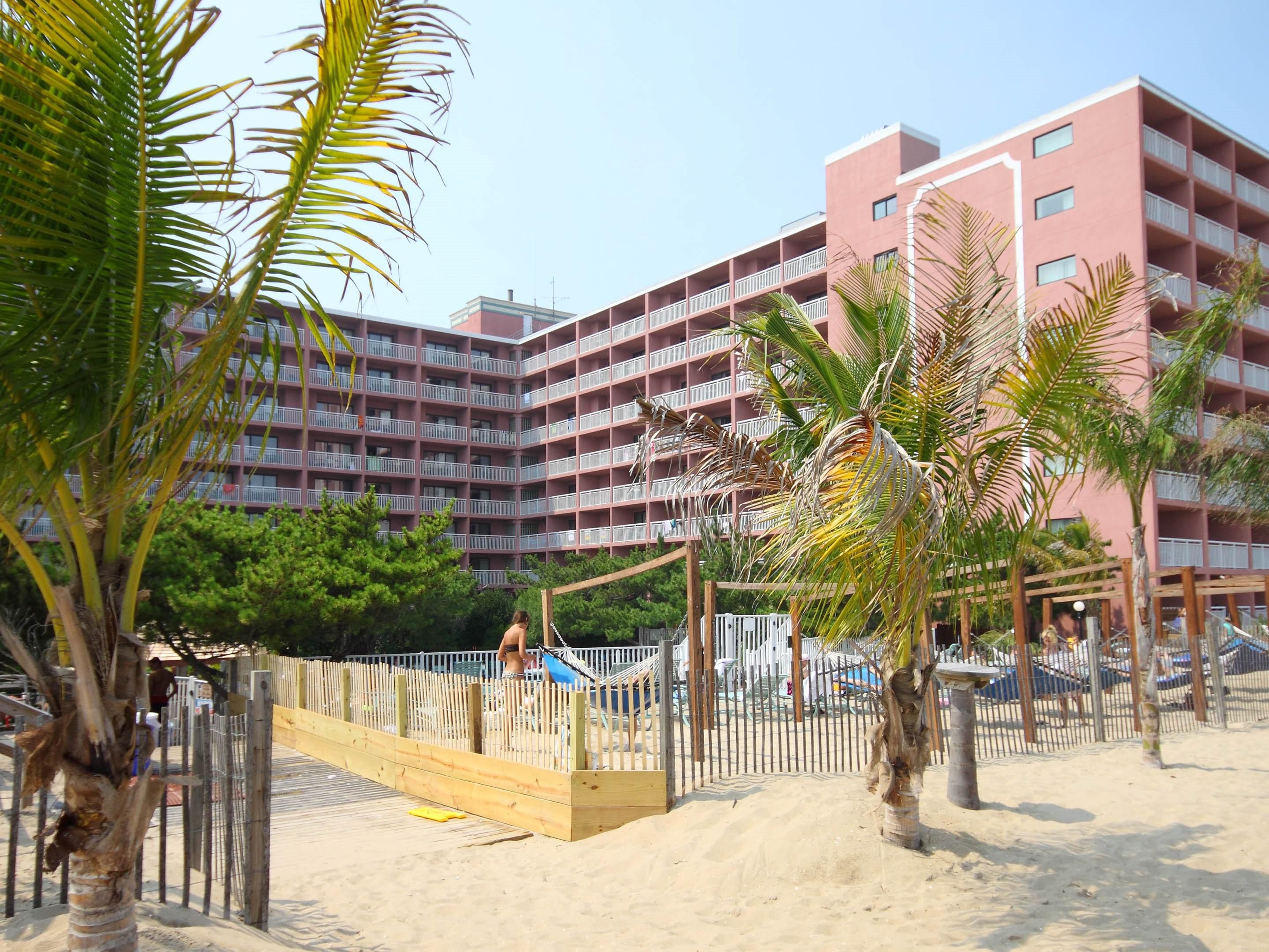 Enjoy live music from local acts in season, relax in a hammock under the sun, or take a dip in our outdoor swim-up pool bar, unlike anything else in Ocean City, Maryland. 