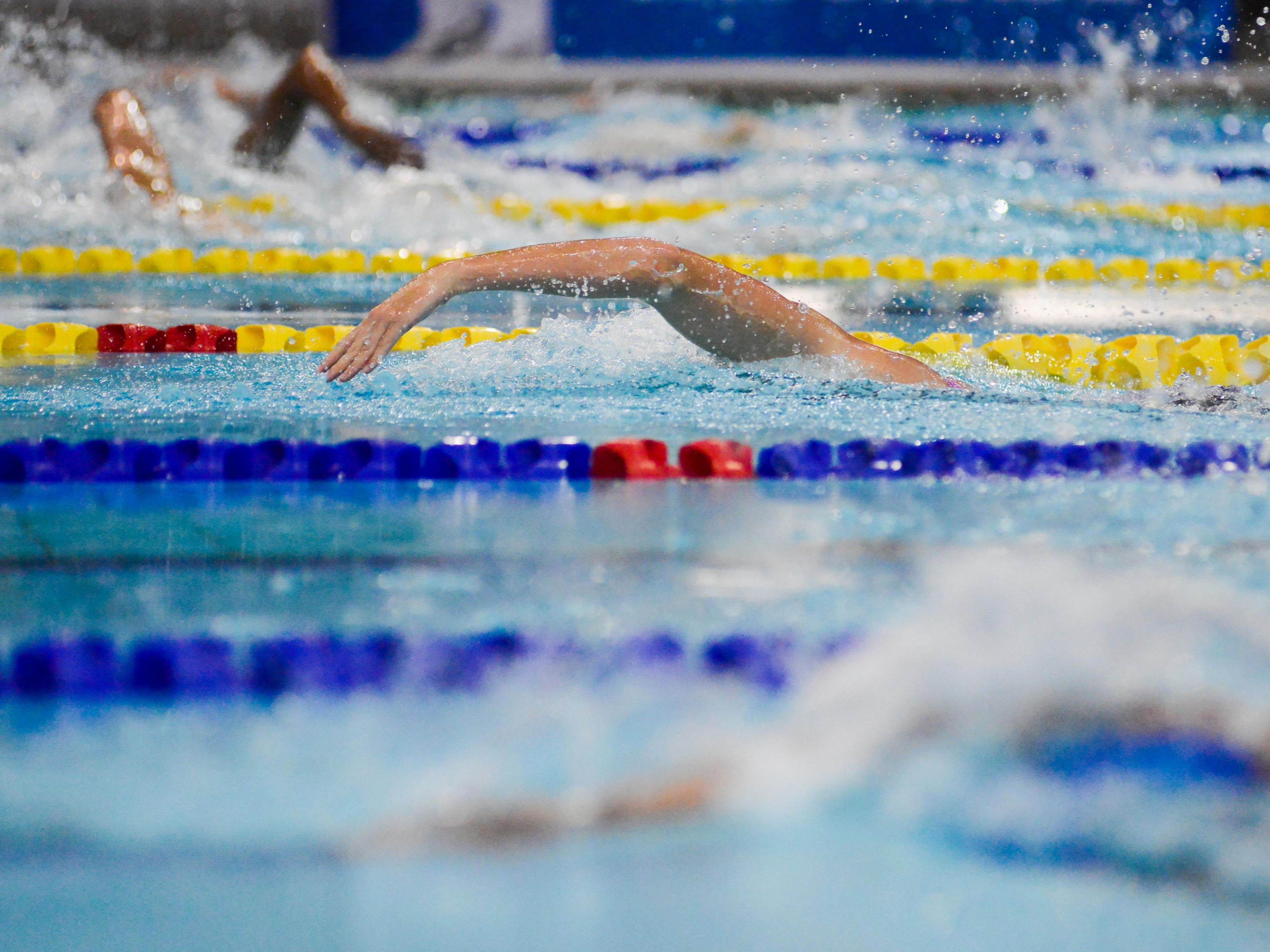Athletes swimming in lanes