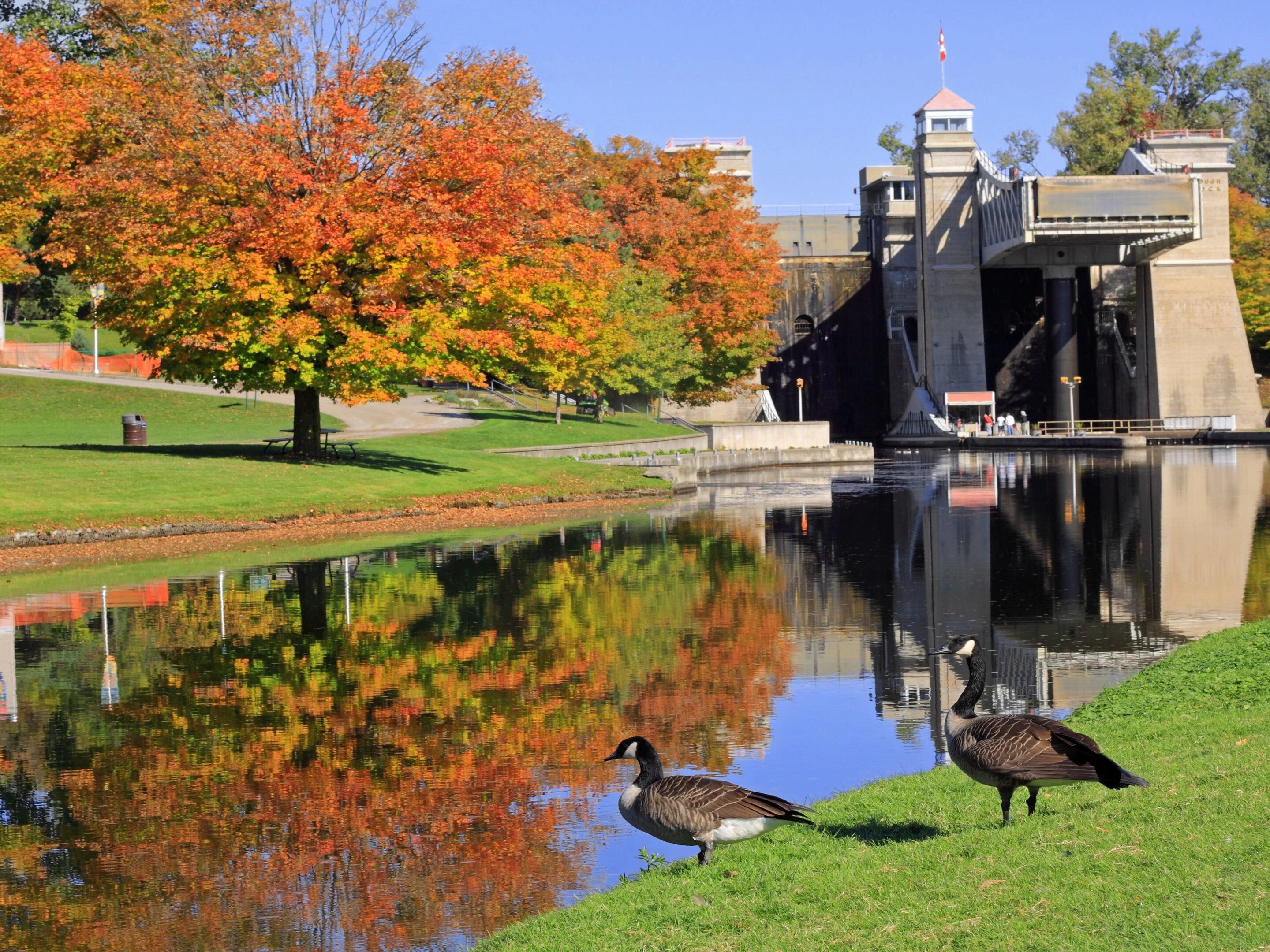 There are many exciting things to do around Peterborough!  Visit the Canadian Canoe Museum, Lang Pioneer Village, Peterborough Musicfest, Riverview Park and Zoo....and many other attractions!