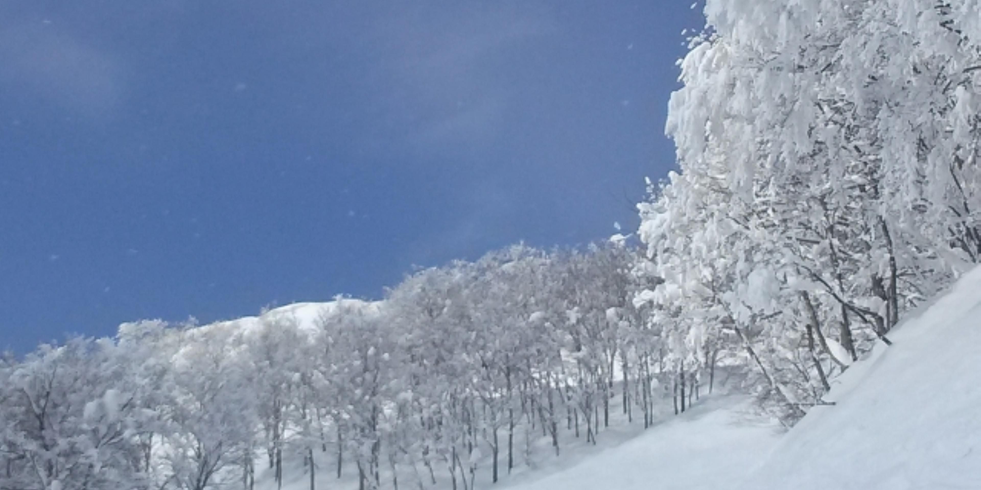 Winter Season