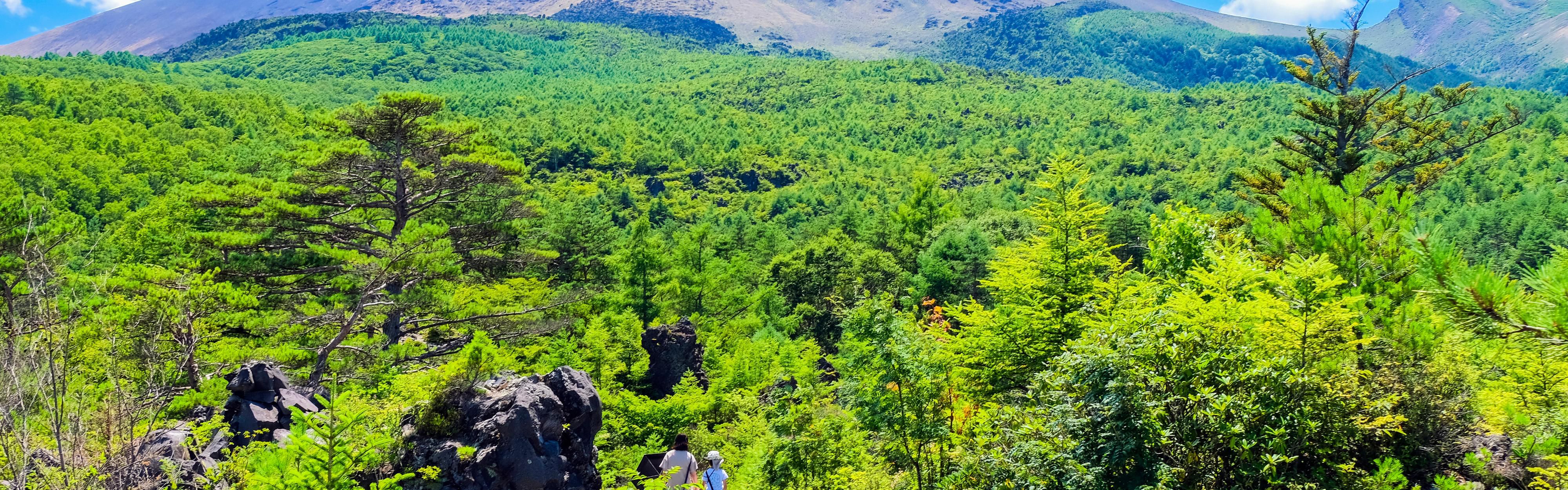 Explore the geological wonders of Asama Geopark.