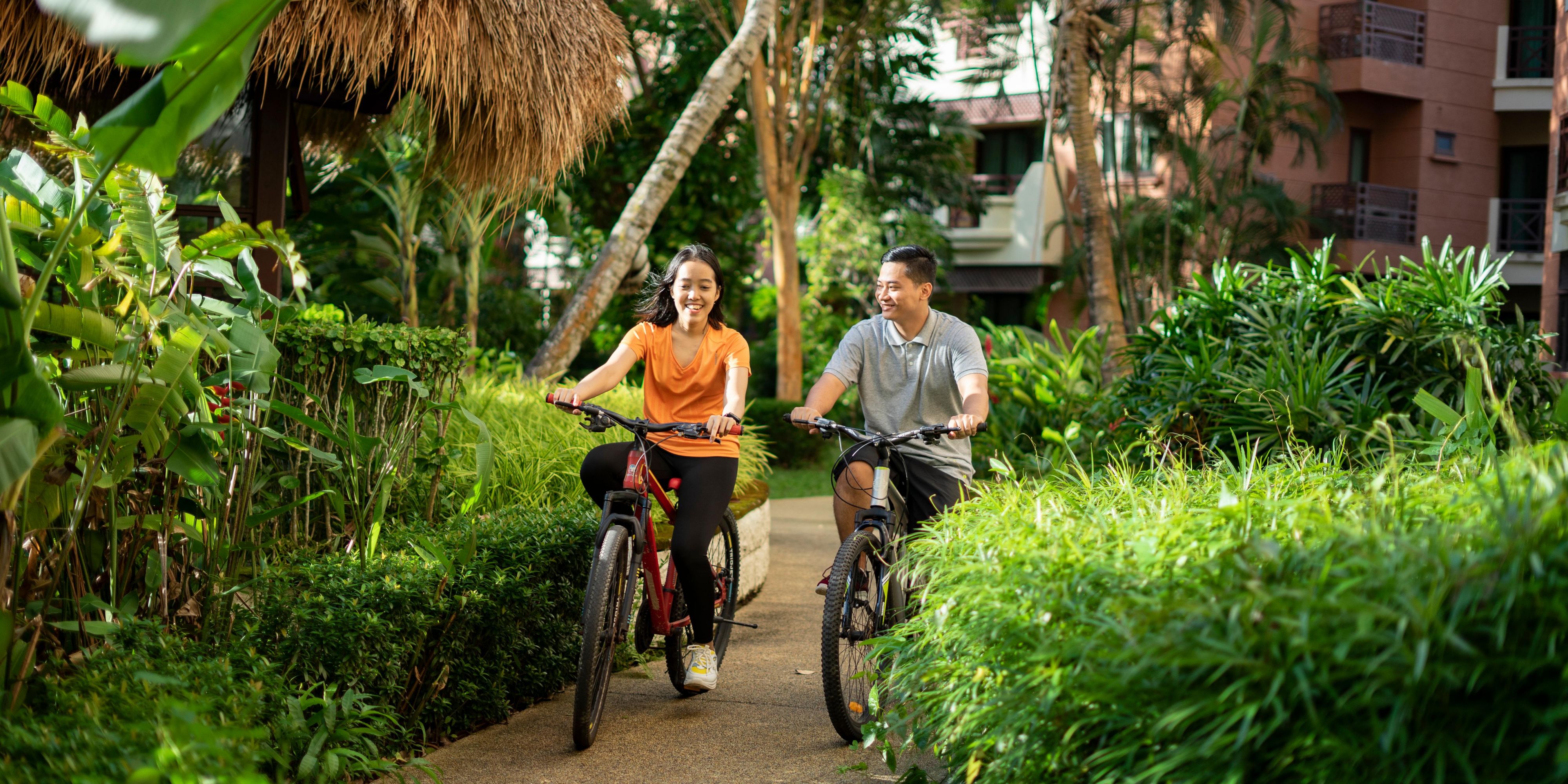 Bicycle Tour