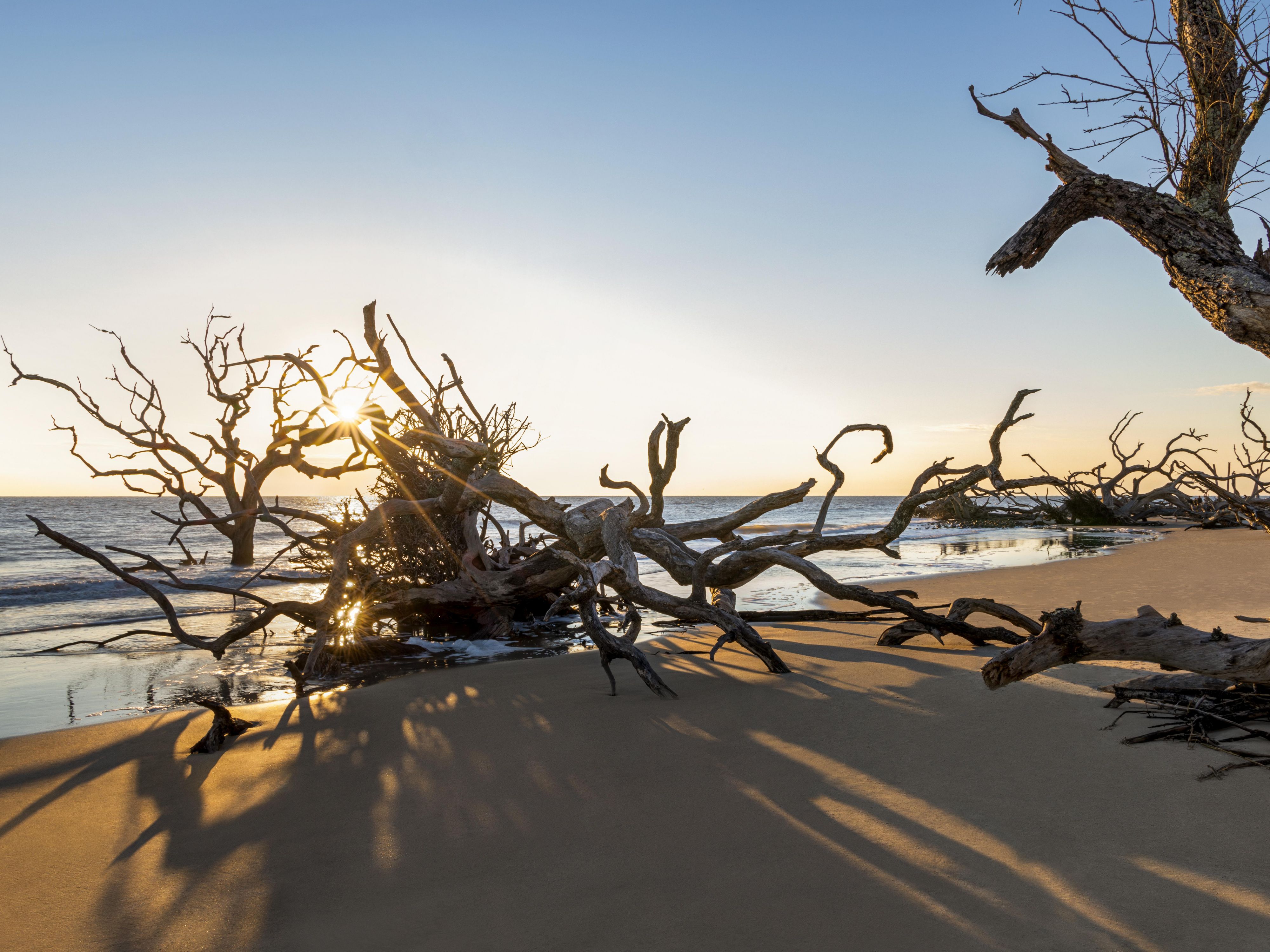 Imagine encountering a Georgia sea turtle or finding a rare shell on one of the East Coast’s most cherished beaches. Picture a day of pure relaxation with no notifications, emails, or calls interrupting your peace. All this and more awaits you on beautiful Jekyll Island, Georgia.