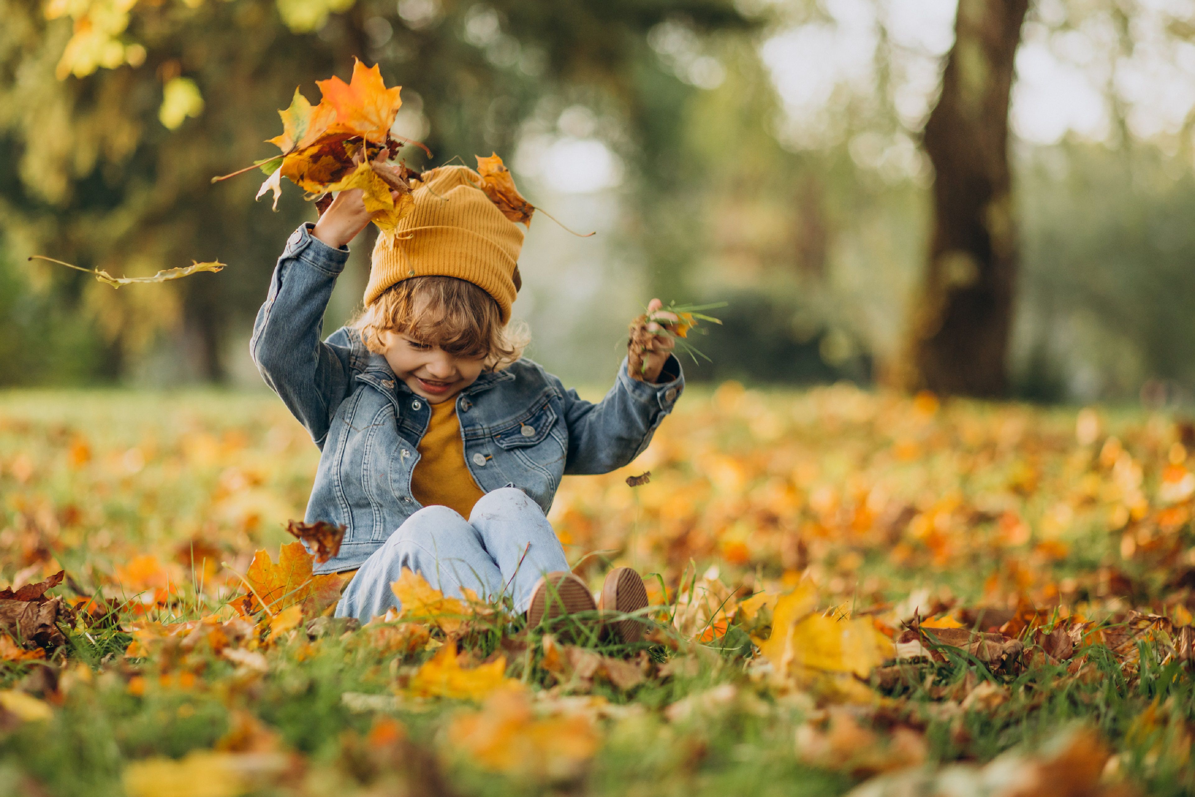 Fall leaves