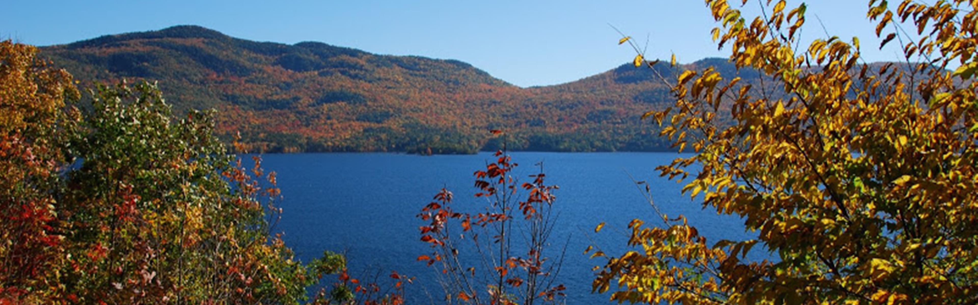 Fall Foliage
