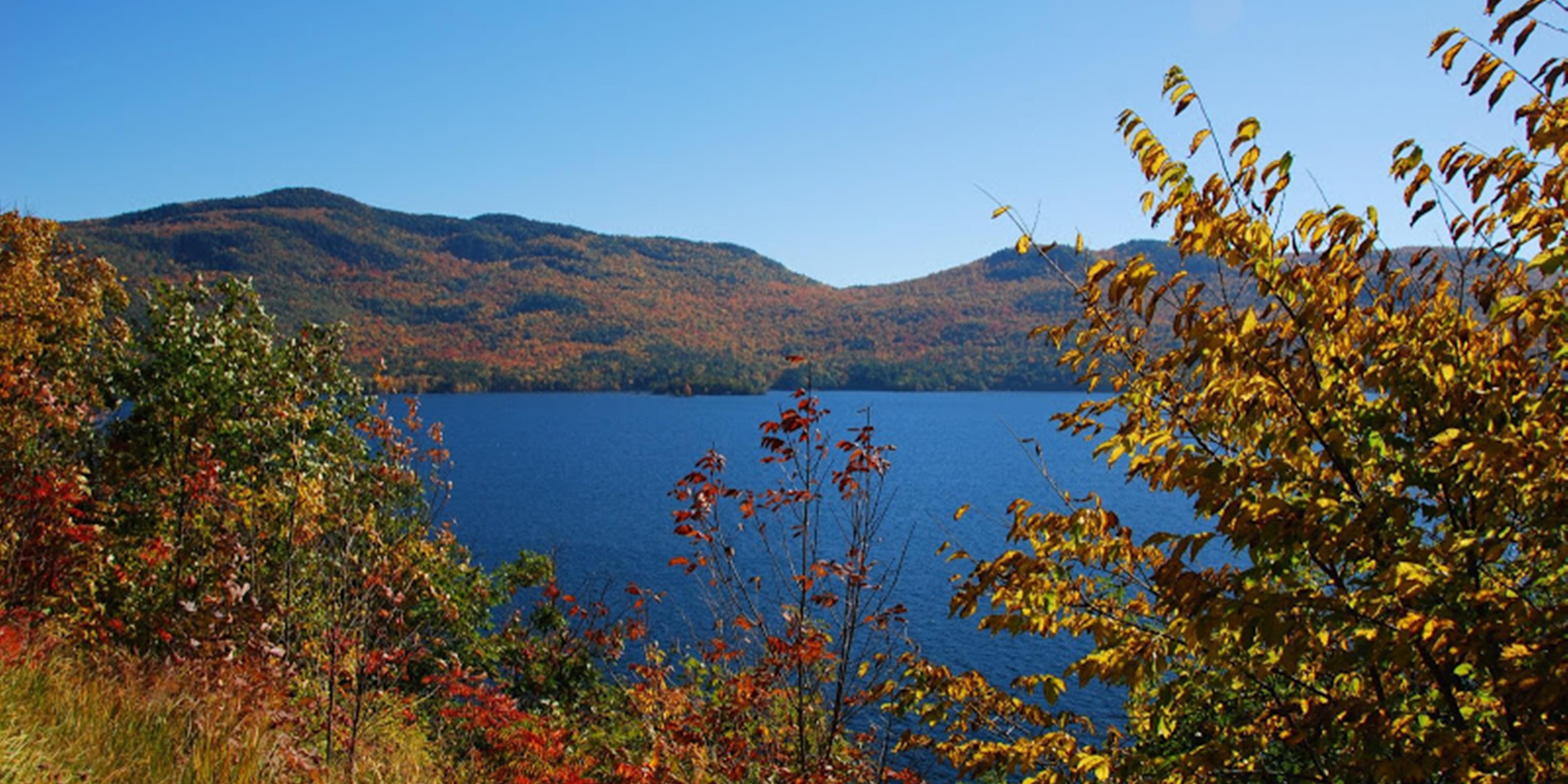 Fall Foliage