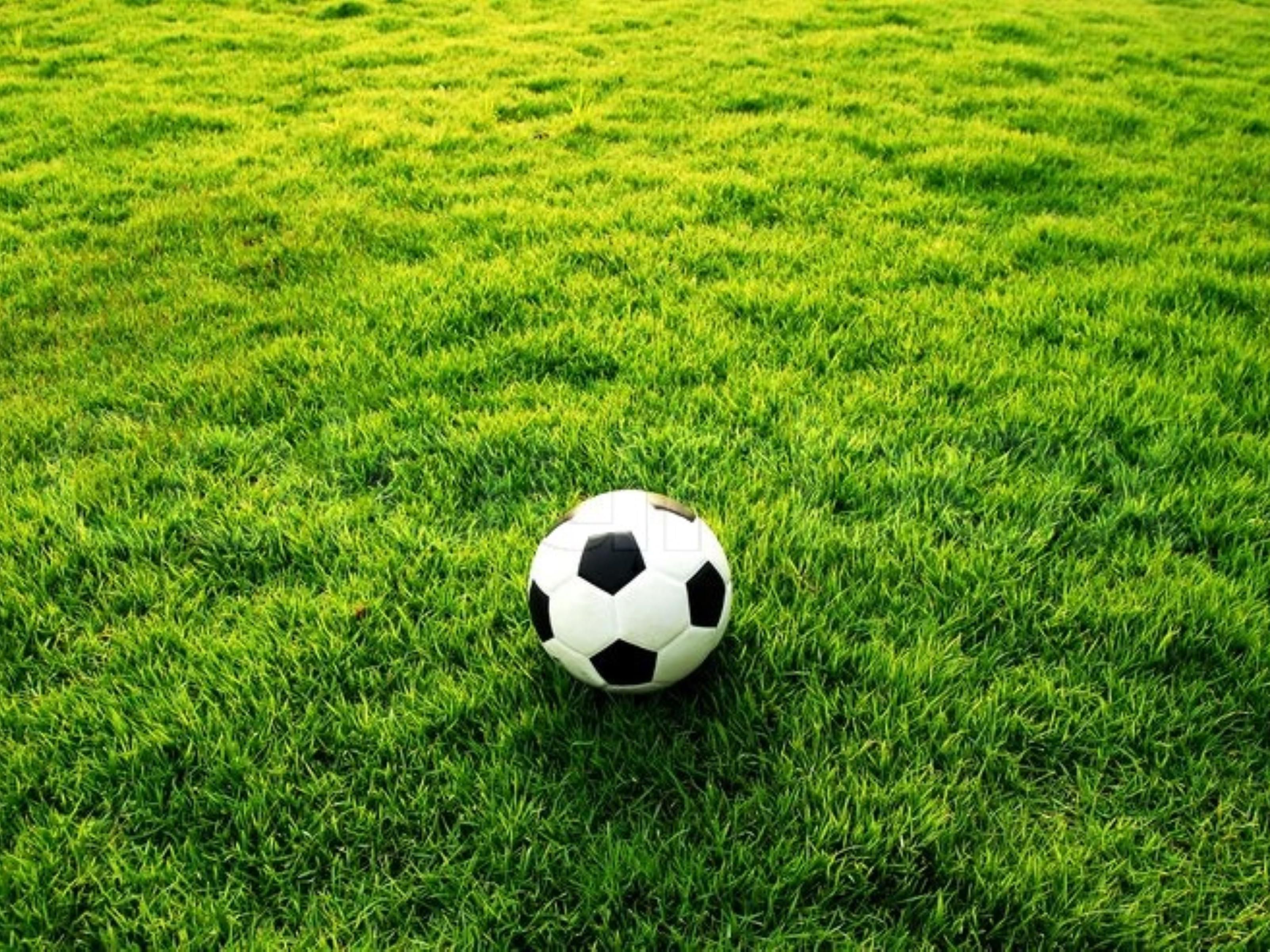 Enjoy the Izdihar football ground full of greenery and re-energize yourself. Start your day with our jogging track. An ideal place for all age groups to burn calories. Corporate companies, schools, colleges, sports teams, and football academies can arrange events, tournaments to feel the difference in an open area.