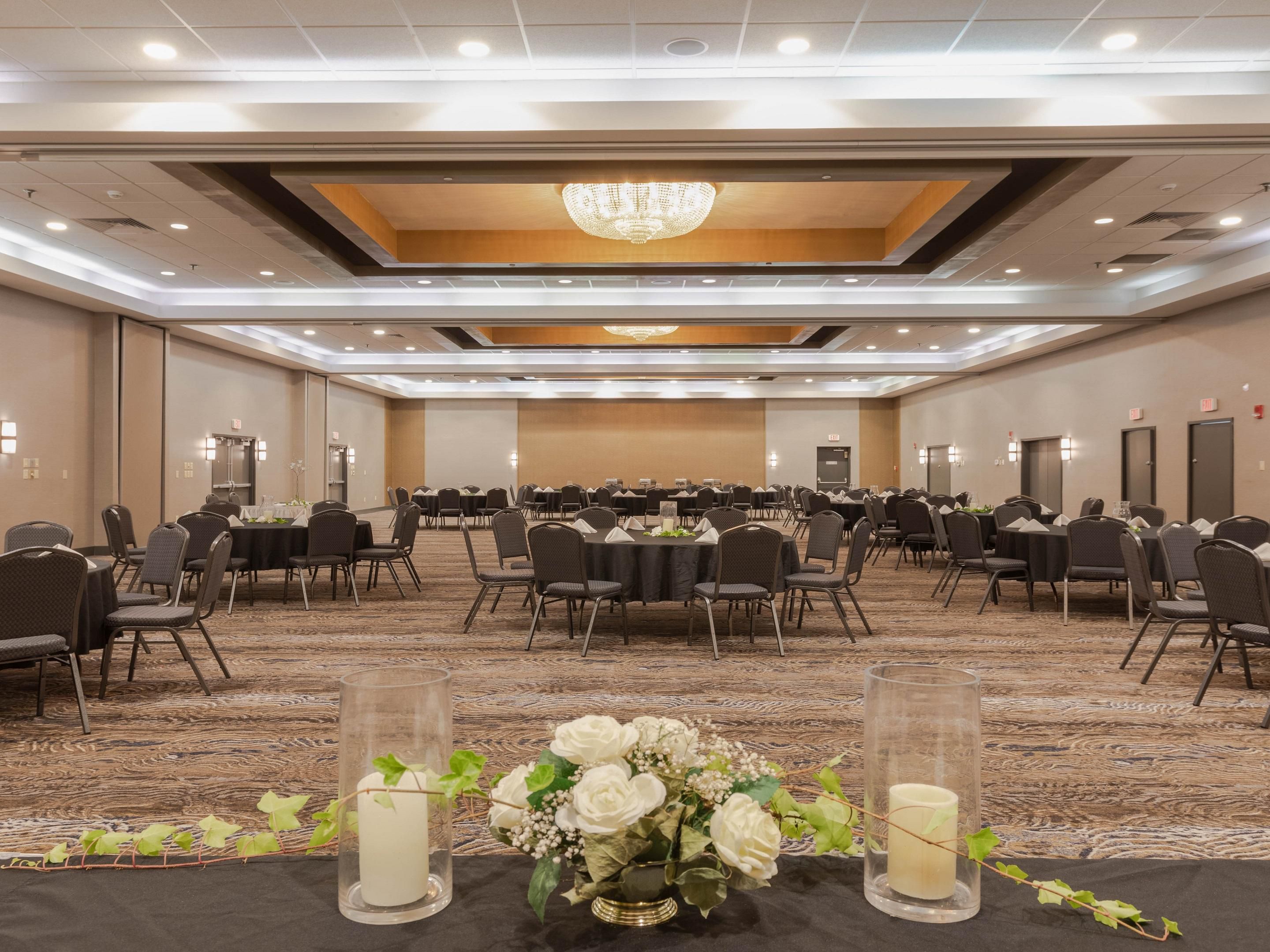 PetFriendly Roanoke Hotel Holiday Inn Roanoke Valley View