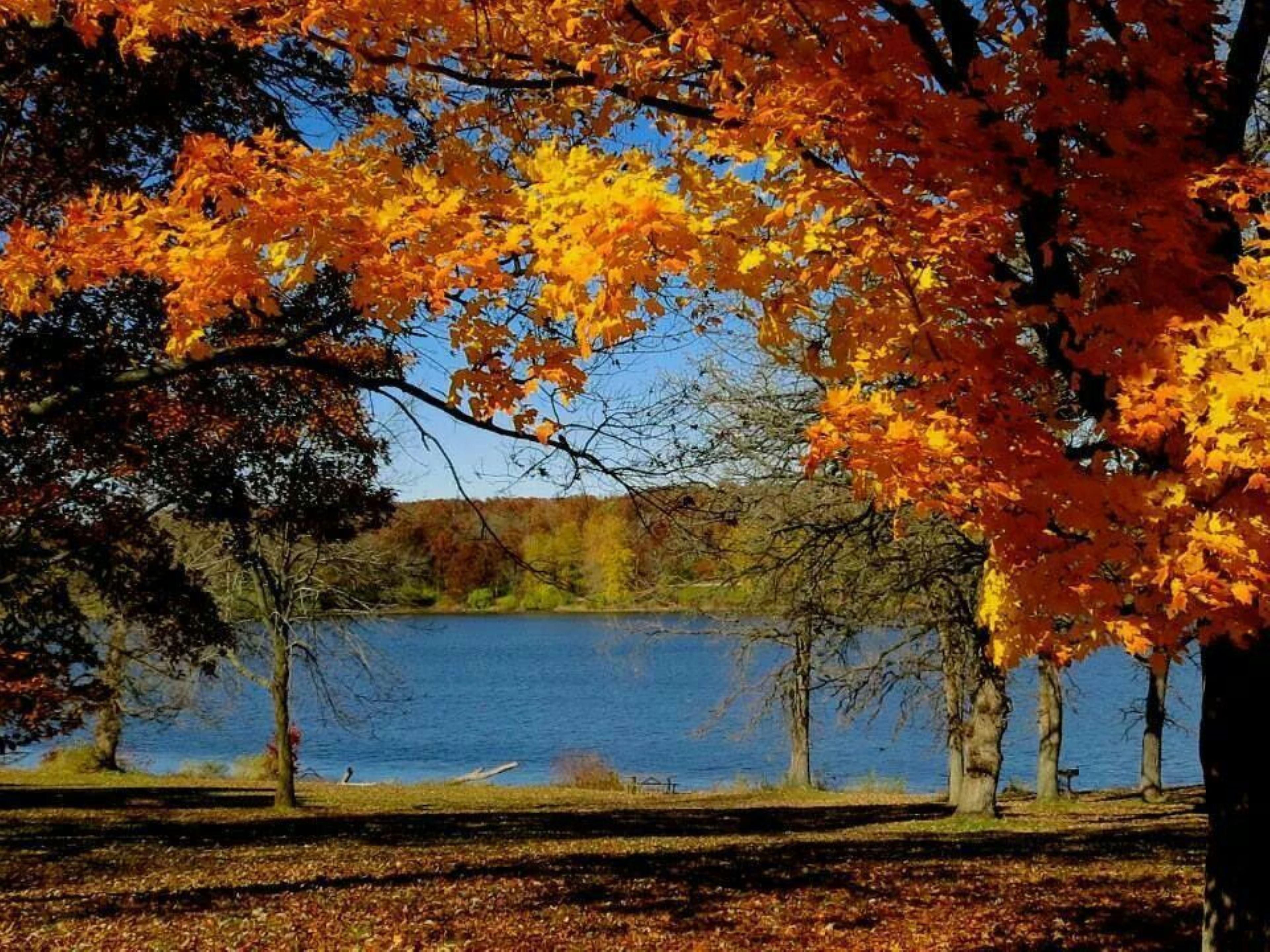Enjoy The Beauty Of Fall Colors!