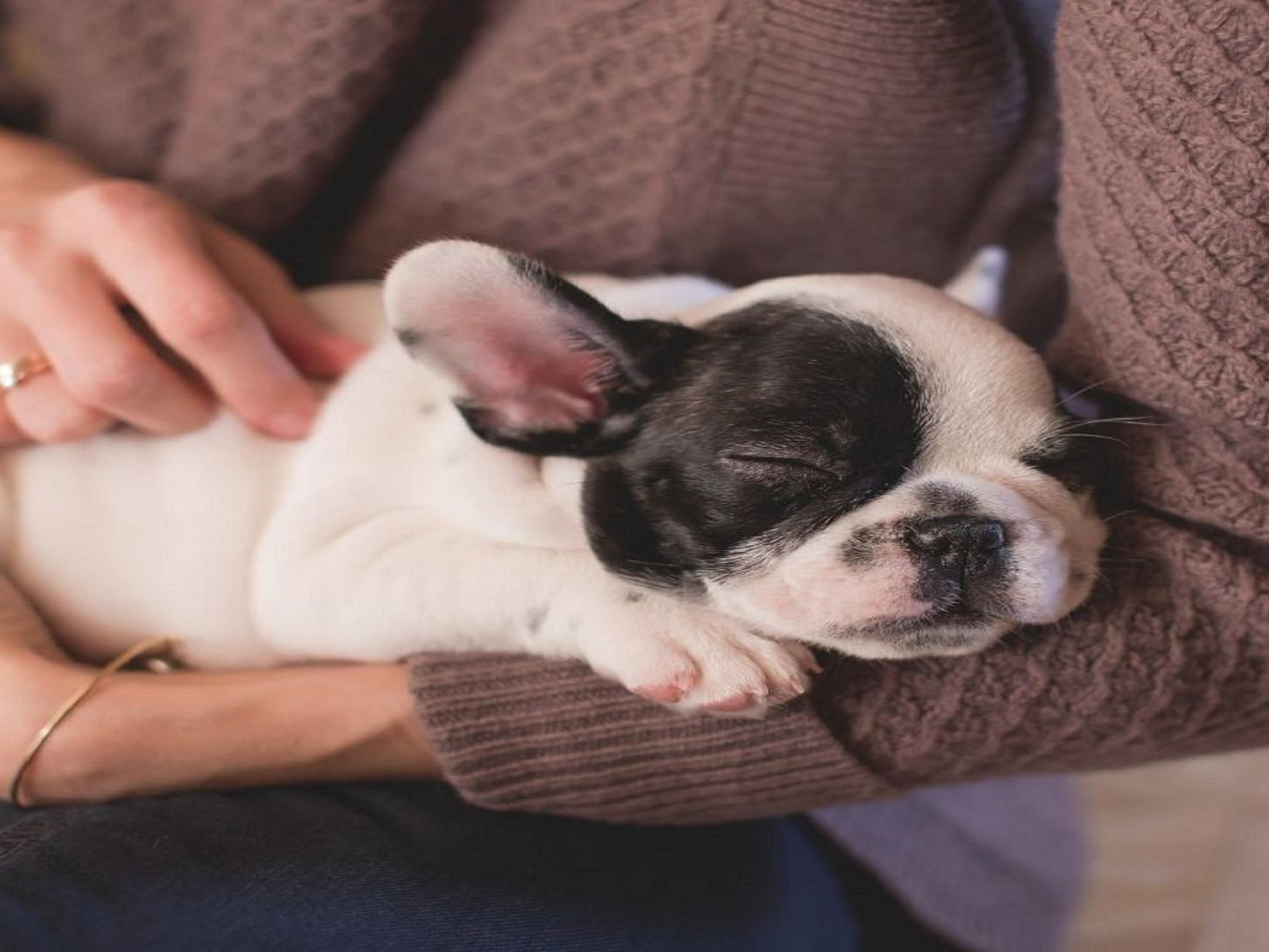 Business Hotel Holiday Inn Rome Eur Parco Dei Medici