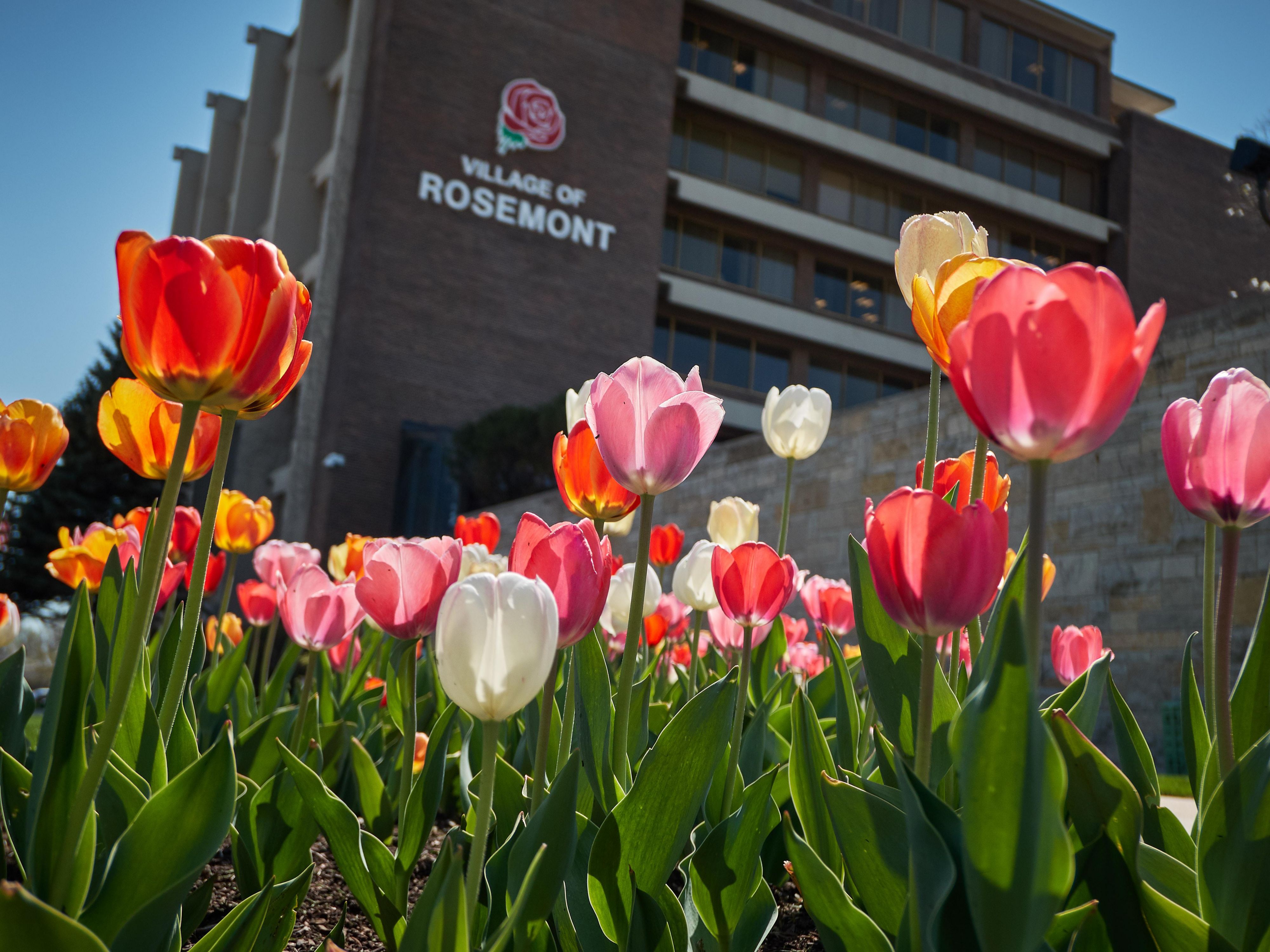 Hotels Near Allstate Arena In Rosemont Il - dl7s8hq