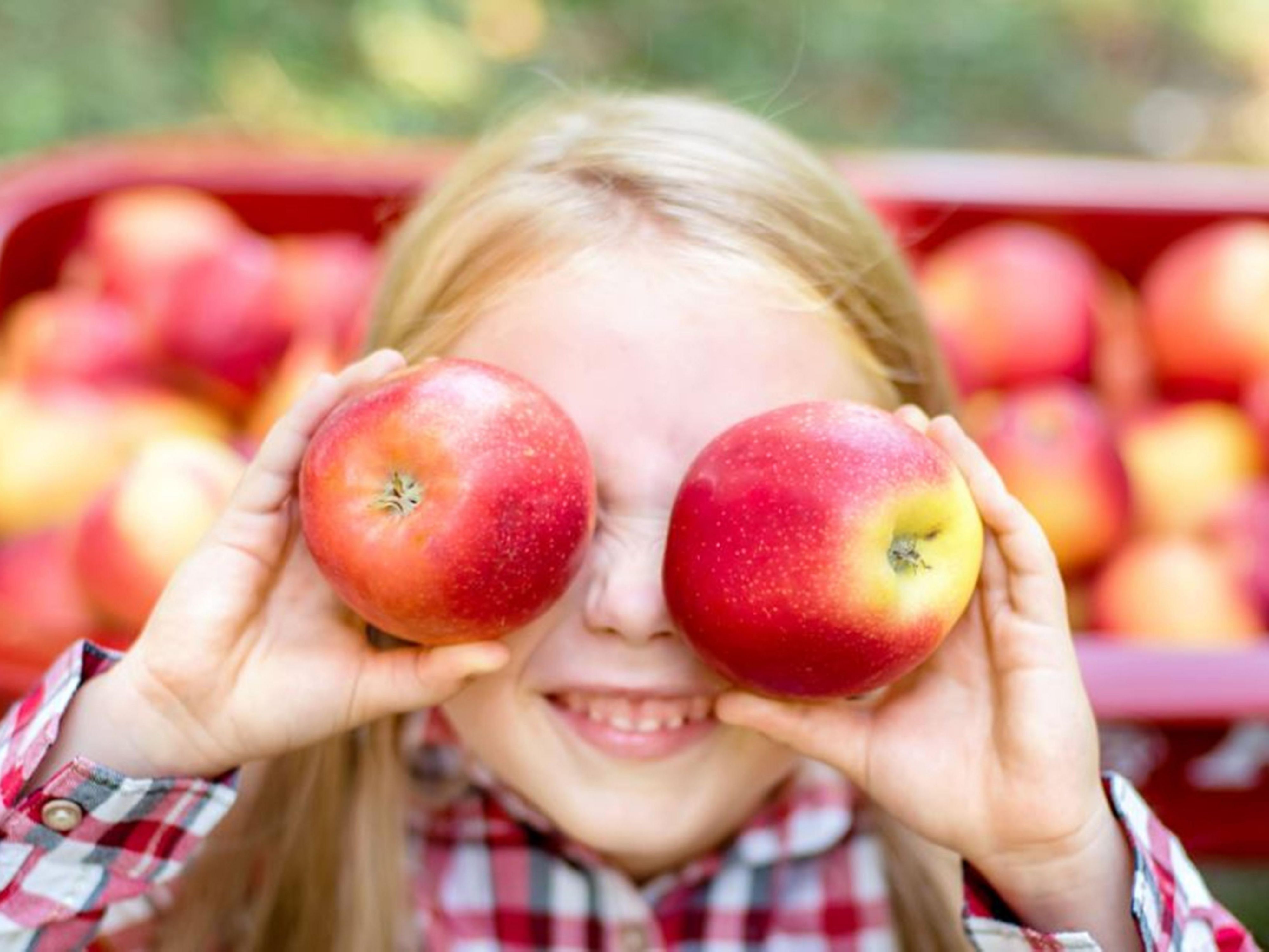 Enjoy fall fun near Holiday Inn Salem, NH! Visit Mann Orchards in Methuen for apple picking, fresh pies, and cider, then stop by Peter’s Farm in Salem for pumpkins, mums, and festive décor. Both local favorites make it easy to savor the season just minutes from the hotel.