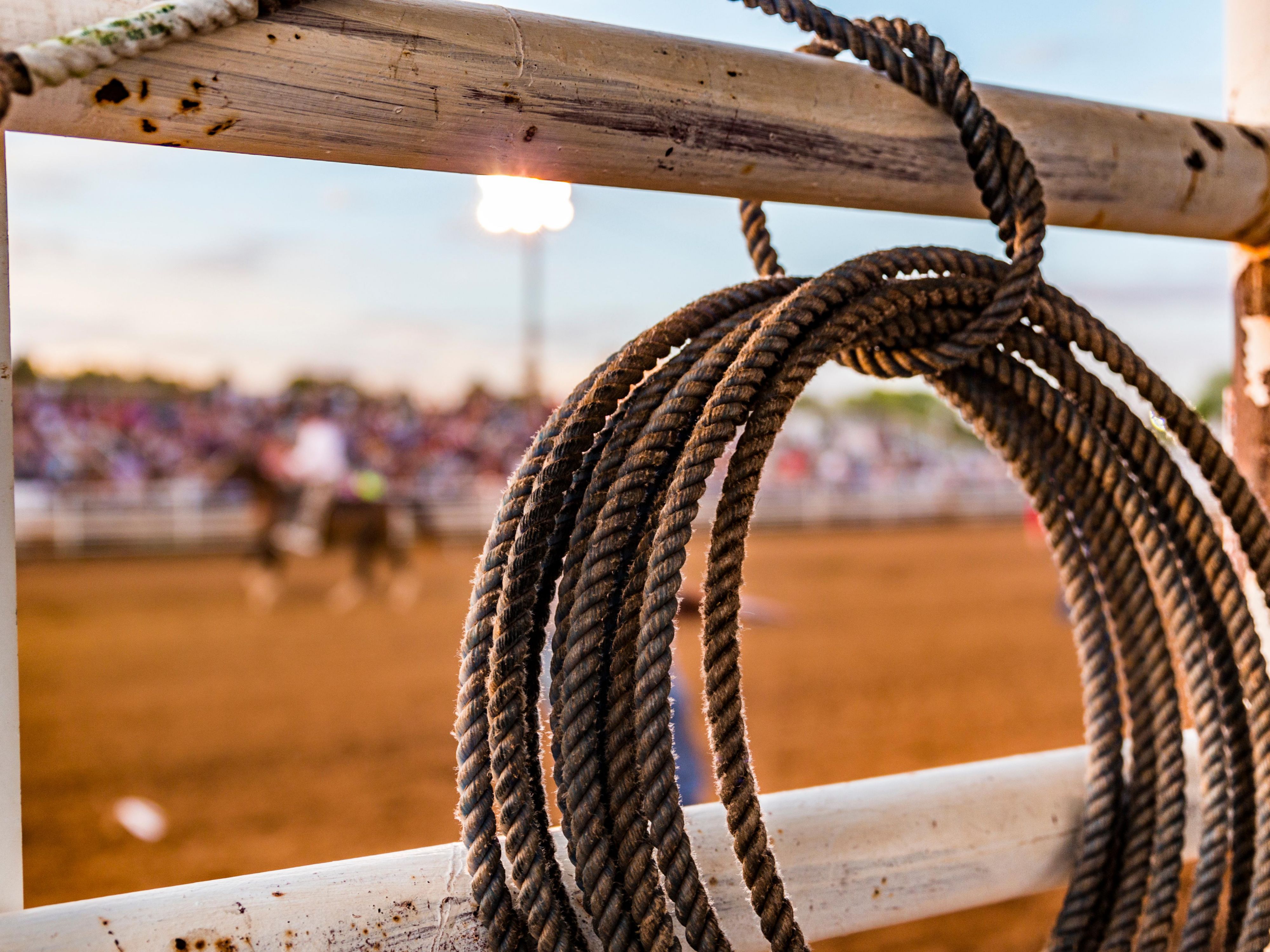 サンアントニオのテキサスの伝統は、PRCAロデオコンテスト、ヘッドラインコンサート、ライブストックショー、カーニバルの乗り物、若者の展示、2月12 から3月 日までフロストバンクセンターとフェアグラウンドで開催されるファミリー観光スポットなど、活気あふれるサンアントニオです。12026