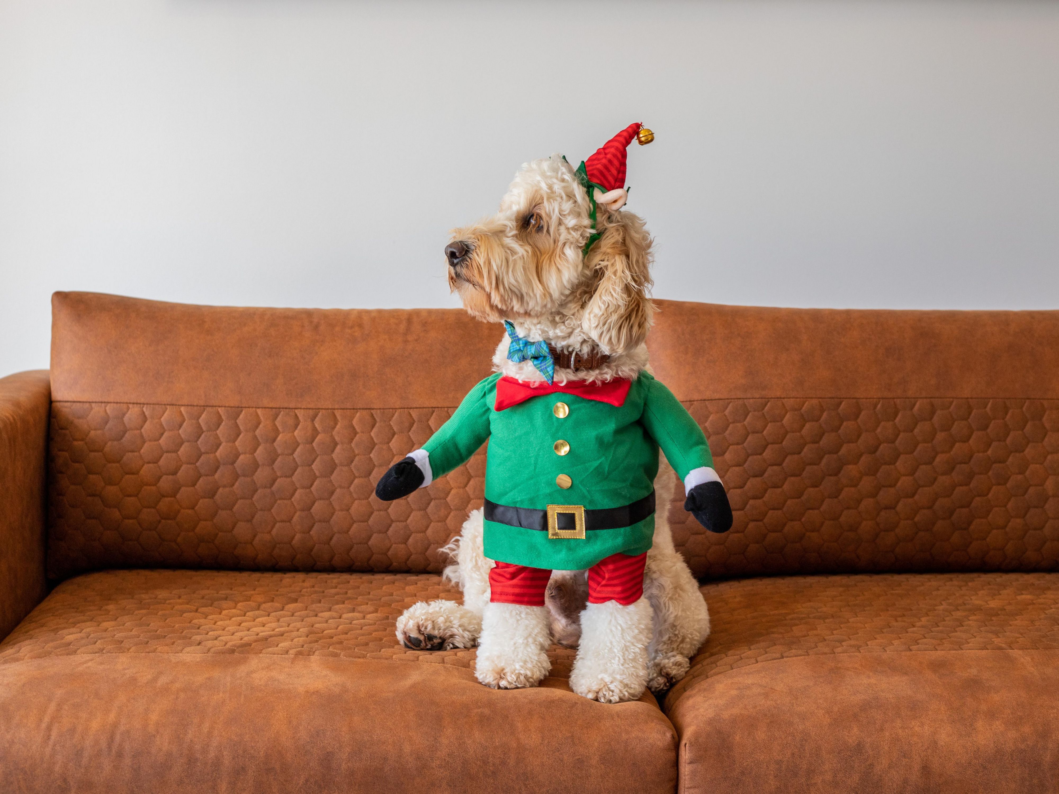 Come celebrate Pizza Week July 6 – 12 with two brand-new and exclusive flavors: Carne Seca and Salame. But that’s not all, on July 10 & 11, enjoy our special Double Pizza promotion: purchase any pizza at the Camauê or Bar Du Hotel, and you’ll receive another complementary pizza. Gather your friends and family for a memorable dining experience.